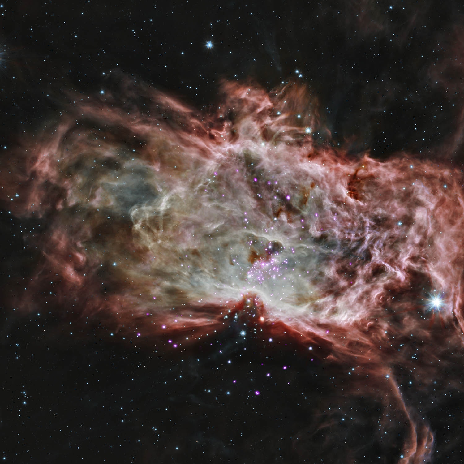 The Flame Nebula stands out in this optical image of the dusty, crowded star forming regions toward Orion's belt, a mere 1,400 light-years away. X-ray data from the Chandra Observatory and infrared images from the Spitzer Space Telescope can take you inside the glowing gas and obscuring dust clouds though. Swiping your cursor (or clicking the image) will reveal many stars of the recently formed, embedded cluster NGC 2024, ranging in age from 200,000 years to 1.5 million years young. The X-ray/infrared composite image overlay spans about 15 light-years across the Flame's center. The X-ray/infrared data also indicate that the youngest stars are concentrated near the middle of the Flame Nebula cluster. That's the opposite of the simplest models of star formation for the stellar nursery that predict star formation begins in the denser center of a molecular cloud core. The result requires a more complex model; perhaps star formation continues longer in the center, or older stars are ejected from the center due to subcluster mergers.