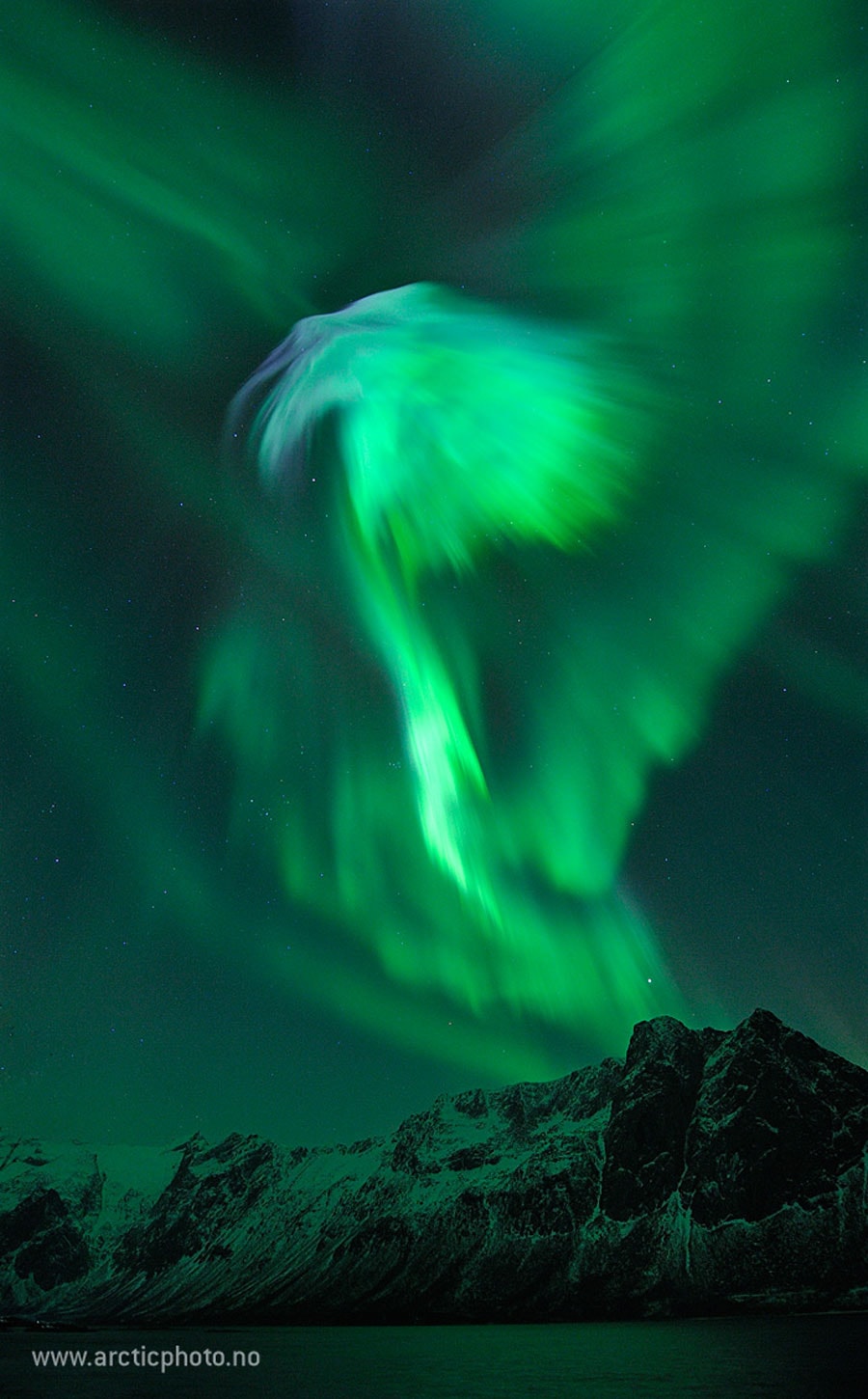 What's that in the sky? An aurora. A large coronal mass ejection occurred on our Sun five days before this 2012 image was taken, throwing a cloud of fast moving electrons, protons, and ions toward the Earth. Although most of this cloud passed above the Earth, some of it impacted our Earth's magnetosphere and resulted in spectacular auroras being seen at high northern latitudes. Featured here is a particularly photogenic auroral corona captured above Grotfjord, Norway. To some, this shimmering green glow of recombining atmospheric oxygen might appear as a large eagle, but feel free to share what it looks like to you.  Although the Sun is near Solar Minimum, streams of the solar wind continue to impact the Earth and create impressive auroras visible even last week.