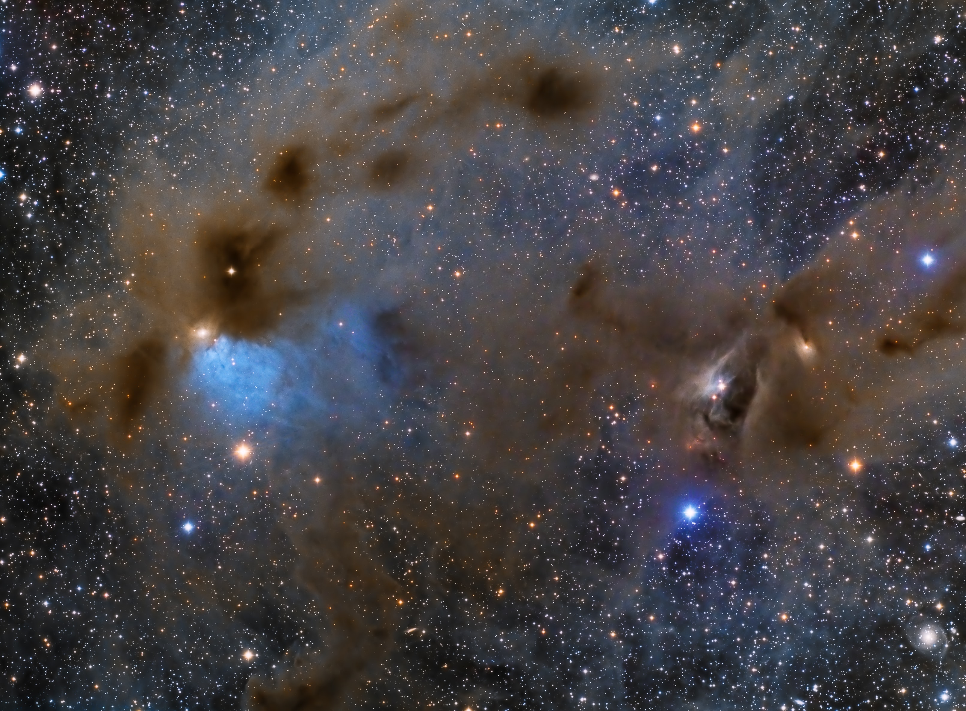 This complex of dusty nebulae lingers along the edge of the Taurus molecular cloud, a mere 450 light-years distant. Stars are forming on the cosmic scene. Composed from almost 40 hours of image data, the 2 degree wide telescopic field of view includes some youthful T-Tauri class stars embedded in the remnants of their natal clouds at the right. Millions of years old and still going through stellar adolescence, the stars are variable in brightness and in the late phases of their gravitational collapse. Their core temperatures will rise to sustain nuclear fusion as they grow into stable, low mass, main sequence stars, a stage of stellar evolution achieved by our middle-aged Sun about 4.5 billion years ago. Another youthful variable star, V1023 Tauri, can be spotted on the left. Within its yellowish dust cloud, it lies next to the striking blue reflection nebula Cederblad 30, also known as LBN 782. Just above the bright bluish reflection nebula is dusty dark nebula Barnard 7.