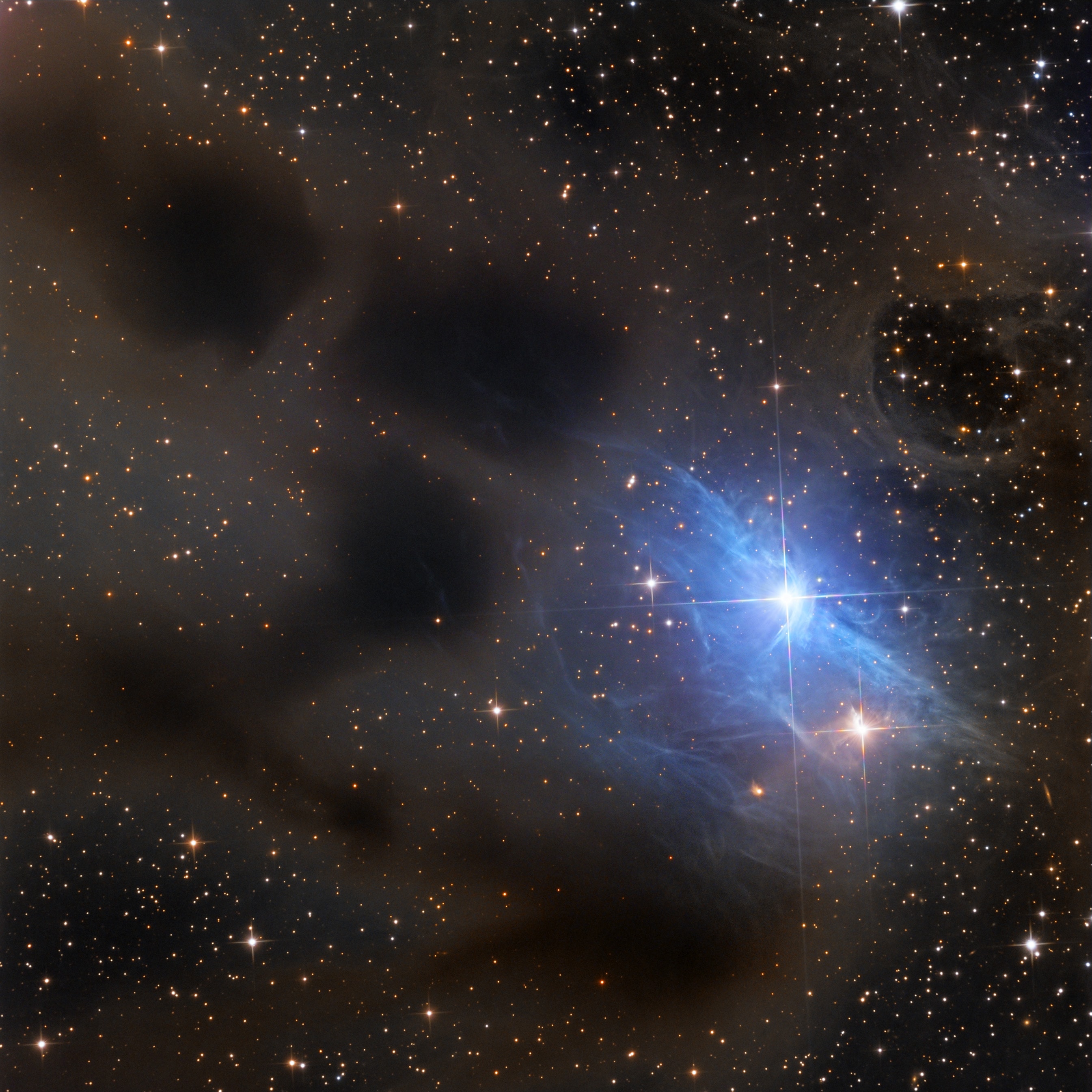 Riding high in the constellation of Auriga, beautiful, blue vdB 31 is the 31st object in Sidney van den Bergh's 1966 catalog of reflection nebulae. It shares this well-composed celestial still life with dark, obscuring clouds recorded in Edward E. Barnard's 1919 catalog of dark markings in the sky. All are interstellar dust clouds, blocking the light from background stars in the case of Barnard's dark nebulae. For vdB 31, the dust preferentially reflects the bluish starlight from embedded, hot, variable star AB Aurigae. Exploring the environs of AB Aurigae with the Hubble Space Telescope has revealed the several million year young star is itself surrounded by flattened dusty disk with evidence for the ongoing formation of a planetary system. AB Aurigae is about 470 light-years away. At that distance this cosmic canvas would span about four light-years.