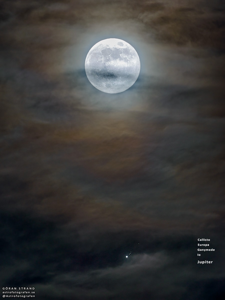 On April 10, a Full Moon and Jupiter shared this telephoto field of view. Both were near opposition, opposite the Sun in Earth's night sky. Captured when a passing cloud bank dimmmed the bright moonlight, the single exposure reveals the familiar face of our fair planet's own large natural satellite, along with a line up of the ruling gas giant's four Galilean moons. Labeled top to bottom, the tiny pinpricks of light above bright Jupiter are Callisto, Europa, Ganymede, and Io. Closer and brighter, our own natural satellite appears to loom large. But Callisto, Ganymede, and Io are physically larger than Earth's Moon, while water world Europa is only slightly smaller.  In fact, of the Solar System's six largest planetary satellites, only Saturn's moon Titan is missing from the scene.