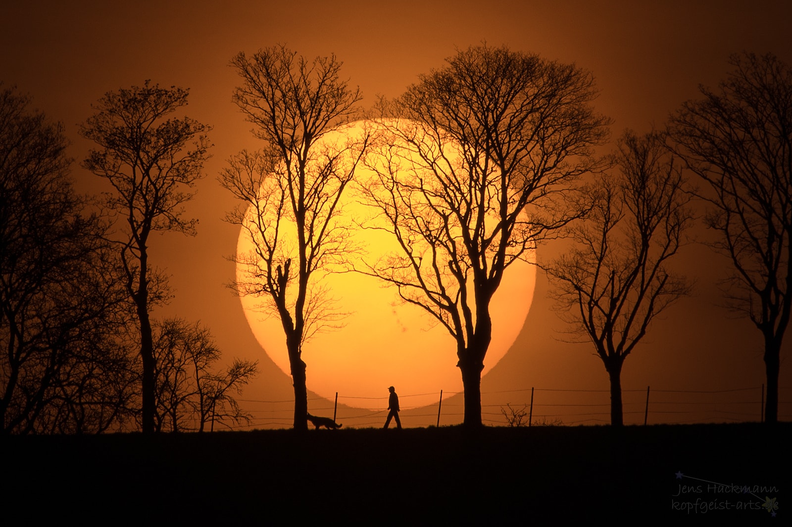 This was supposed to be a shot of trees in front of a setting Sun. Sometimes, though, the unexpected can be photogenic. During some planning shots, a man walking his dog unexpected crossed the ridge. The result was so striking that, after cropping, it became the main shot.  The reason the Sun appears so large is that the image was taken from about a kilometer away through a telephoto lens.  Scattering of blue light by the Earth's atmosphere makes the bottom of the Sun appear slightly more red that the top. Also, if you look closely at the Sun, just above the man's head, a large group of sunspots is visible. The image was taken just last week in Bad Mergentheim, Germany.