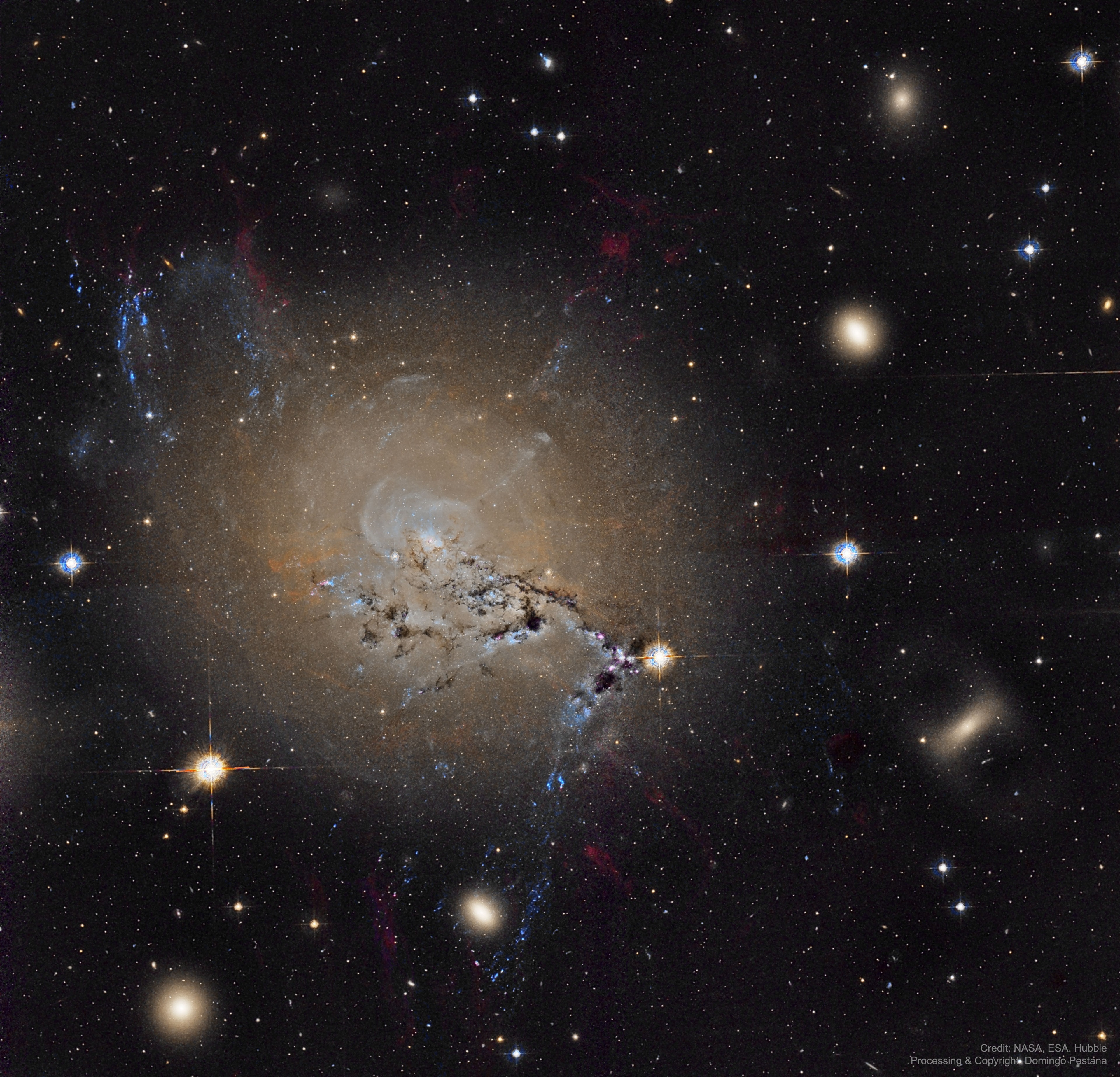 What keeps these filaments attached to this galaxy?  The filaments persist in NGC 1275 even though the turmoil of galactic collisions should destroy them. First,  active galaxy NGC 1275 is the central, dominant member of the large and relatively nearby Perseus Cluster of Galaxies. Wild-looking at visible wavelengths, the active galaxy is also a prodigious source of x-rays and radio emission. NGC 1275 accretes matter as entire galaxies fall into it, ultimately feeding a supermassive black hole at the galaxy's core. This composite image, recreated from archival Hubble Space Telescope data, highlights the resulting galactic debris and filaments of glowing gas, some up to 20,000 light-years long. Observations indicate that the structures, pushed out from the galaxy's center by the black hole's activity, are held together by magnetic fields. Also known as Perseus A, NGC 1275 spans over 100,000 light years and lies about 230 million light years away.
