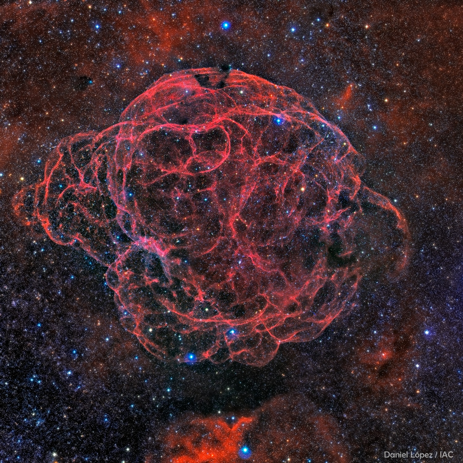 It's easy to get lost following intricate filaments in this detailed image of faint supernova remnant Simeis 147. Also cataloged as Sharpless 2-240 it goes by the popular nickname, the Spaghetti Nebula. Seen toward the boundary of the constellations Taurus and Auriga, it covers nearly 3 degrees or 6 full moons on the sky. That's about 150 light-years at the stellar debris cloud's estimated distance of 3,000 light-years. This composite includes image data taken through narrow-band filters, enhancing the reddish emission from ionized hydrogen atoms to trace the shocked, glowing gas. The supernova remnant has an estimated age of about 40,000 years, meaning light from the massive stellar explosion first reached Earth 40,000 years ago. But the expanding remnant is not the only aftermath. The cosmic catastrophe also left behind a spinning neutron star or pulsar, all that remains of the original star's core.