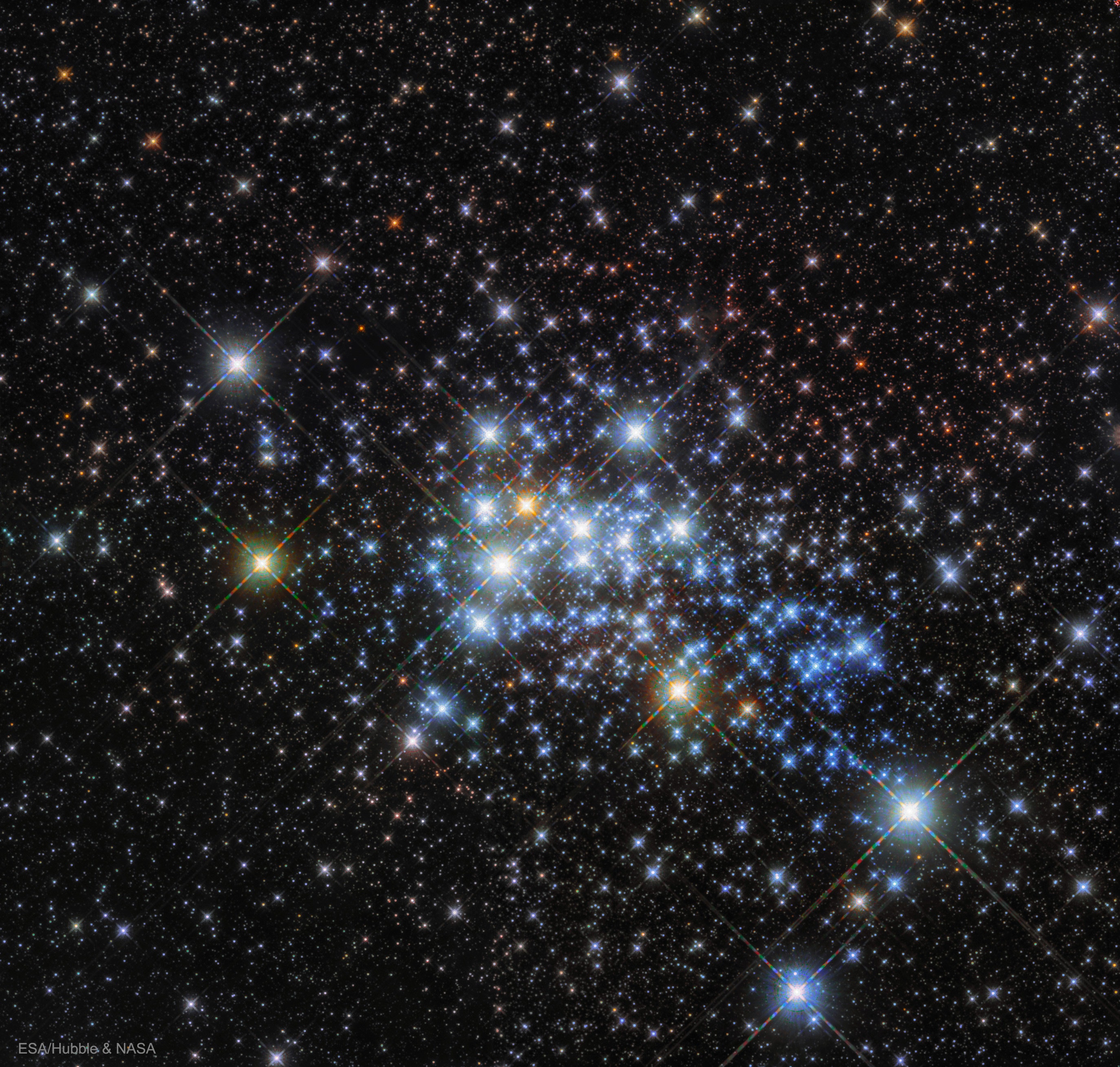Star cluster Westerlund 1 is home to some of the largest and most massive stars known. It is headlined by the star Westerlund 1-26, a red supergiant star so big that if placed in the center of our Solar System, it would extend out past the orbit of Jupiter. Additionally, the young star cluster is home to 3 other red supergiants, 6 yellow hypergiant stars, 24 Wolf-Rayet stars, and several even-more unusual stars that continue to be studied.  Westerlund 1 is relatively close-by for a star cluster at a distance of 15,000 light years, giving astronomers a good laboratory to study the development of massive stars. The featured image of Westerlund 1 was taken by the Hubble Space Telescope toward the southern constellation of the Altar (Ara). Although presently classified as a "super" open cluster, Westerlund 1 may evolve into a low mass globular cluster over the next billion years.    Follow APOD on: Facebook,  Google Plus,  Instagram, or Twitter
