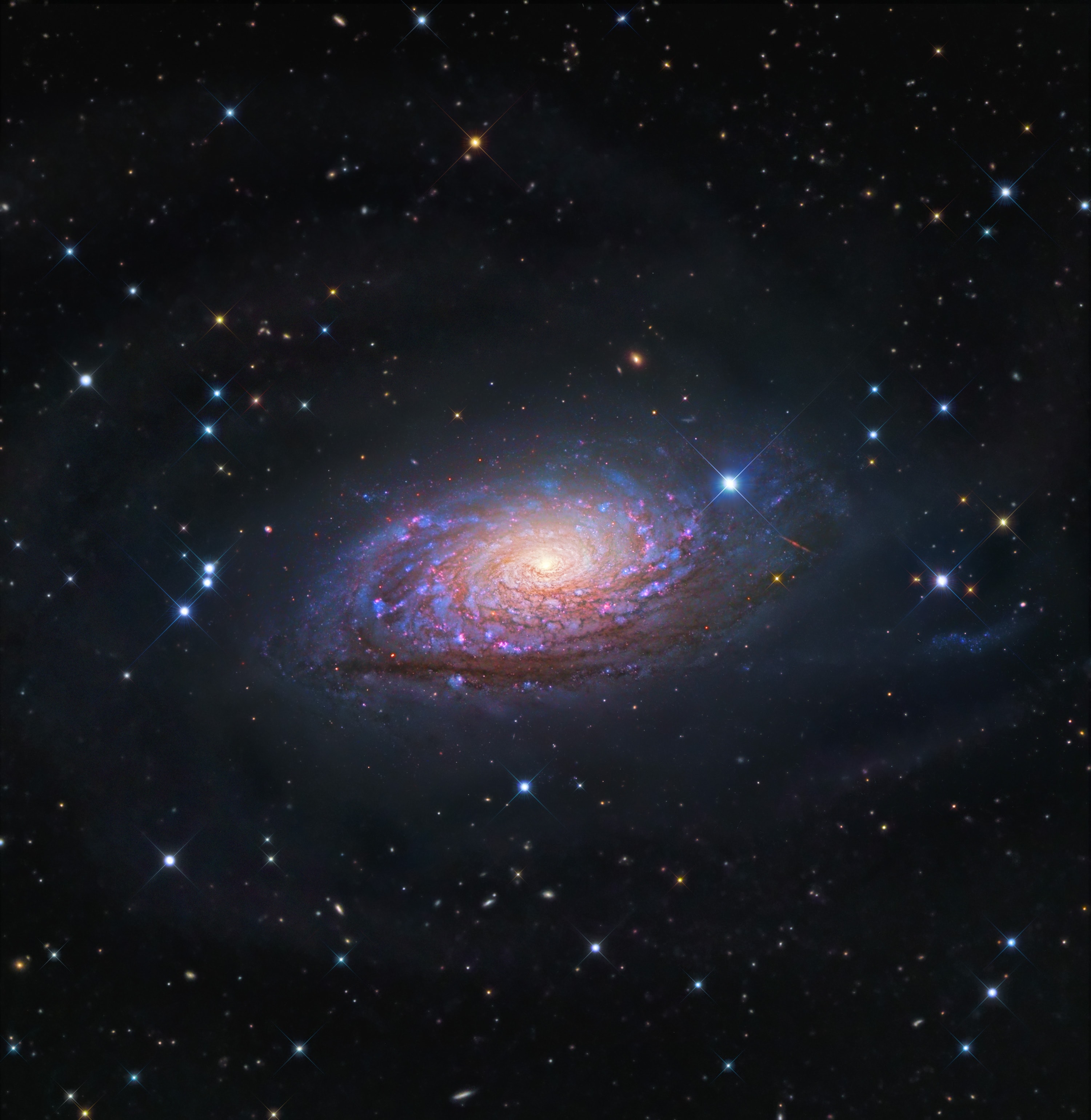 A bright spiral galaxy of the northern sky, Messier 63 is about 25 million light-years distant in the loyal constellation Canes Venatici. Also cataloged as NGC 5055, the majestic island universe is nearly 100,000 light-years across. That's about the size of our own Milky Way Galaxy. Known by the popular moniker, The Sunflower Galaxy, M63 sports a bright yellowish core in this sharp composite image from space- and ground-based telescopes. Its sweeping blue spiral arms are streaked with cosmic dust lanes and dotted with pink star forming regions. A dominant member of a known galaxy group, M63 has faint, extended features that are likely star streams from tidally disrupted satellite galaxies. M63 shines across the electromagnetic spectrum and is thought to have undergone bursts of intense star formation.