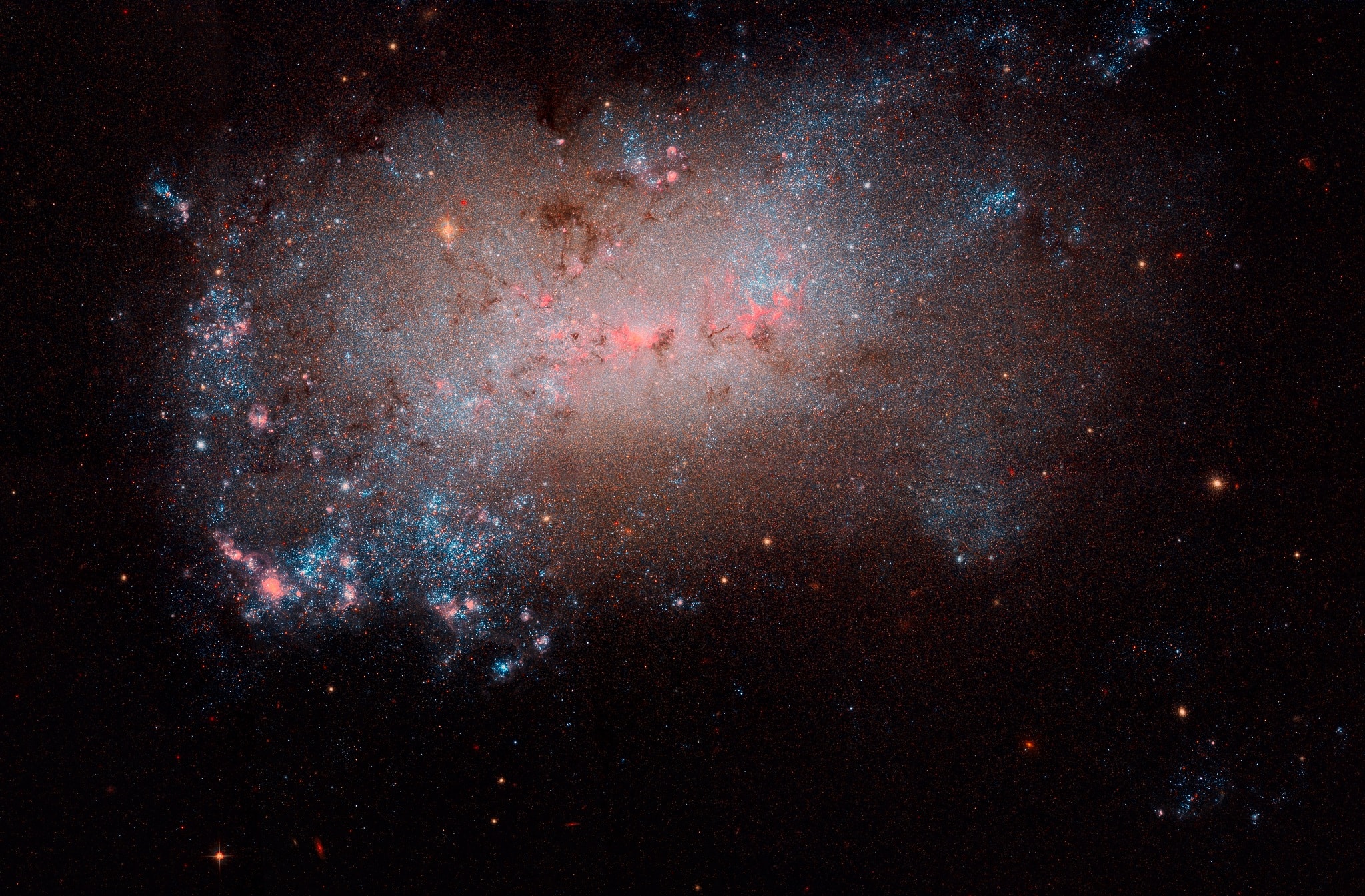 Grand spiral galaxies often seem to get all the glory. Their young, blue star clusters and pink star forming regions along sweeping spiral arms are guaranteed to attract attention. But small irregular galaxies form stars too, like NGC 4449, about 12 million light-years distant. Less than 20,000 light-years across, the small island universe is similar in size, and often compared to our Milky Way's satellite galaxy, the Large Magellanic Cloud (LMC). This remarkable Hubble Space Telescope close-up of the well-studied galaxy was reprocessed to highlight the telltale reddish glow of hydrogen gas. The glow traces NGC 4449's widespread star forming regions, some even larger than those in the LMC, with enormous interstellar arcs and bubbles blown by short-lived, massive stars. NGC 4449 is a member of a group of galaxies found in the constellation Canes Venatici. It also holds the distinction of being the first dwarf galaxy with an identified tidal star stream.