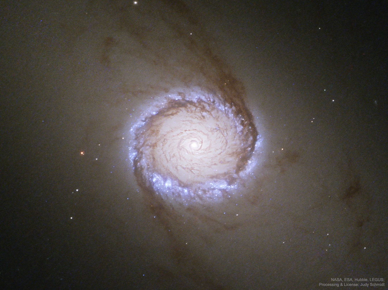 What's happening around the center of this spiral galaxy? Seen in total, NGC 1512 appears to be a barred spiral galaxy -- a type of spiral that has a straight bar of stars across its center.  This bar crosses an inner ring, though, a ring not seen as it surrounds the pictured region. Featured in this Hubble Space Telescope image is a "nuclear ring" -- one that surrounds the nucleus of the spiral.  The two rings are connected not only by a bar of bright stars but by dark lanes of dust. Inside of this nuclearring, dust continues to spiral right into the very center -- possibly the location of a large black hole. The rings are bright with newly formed stars.