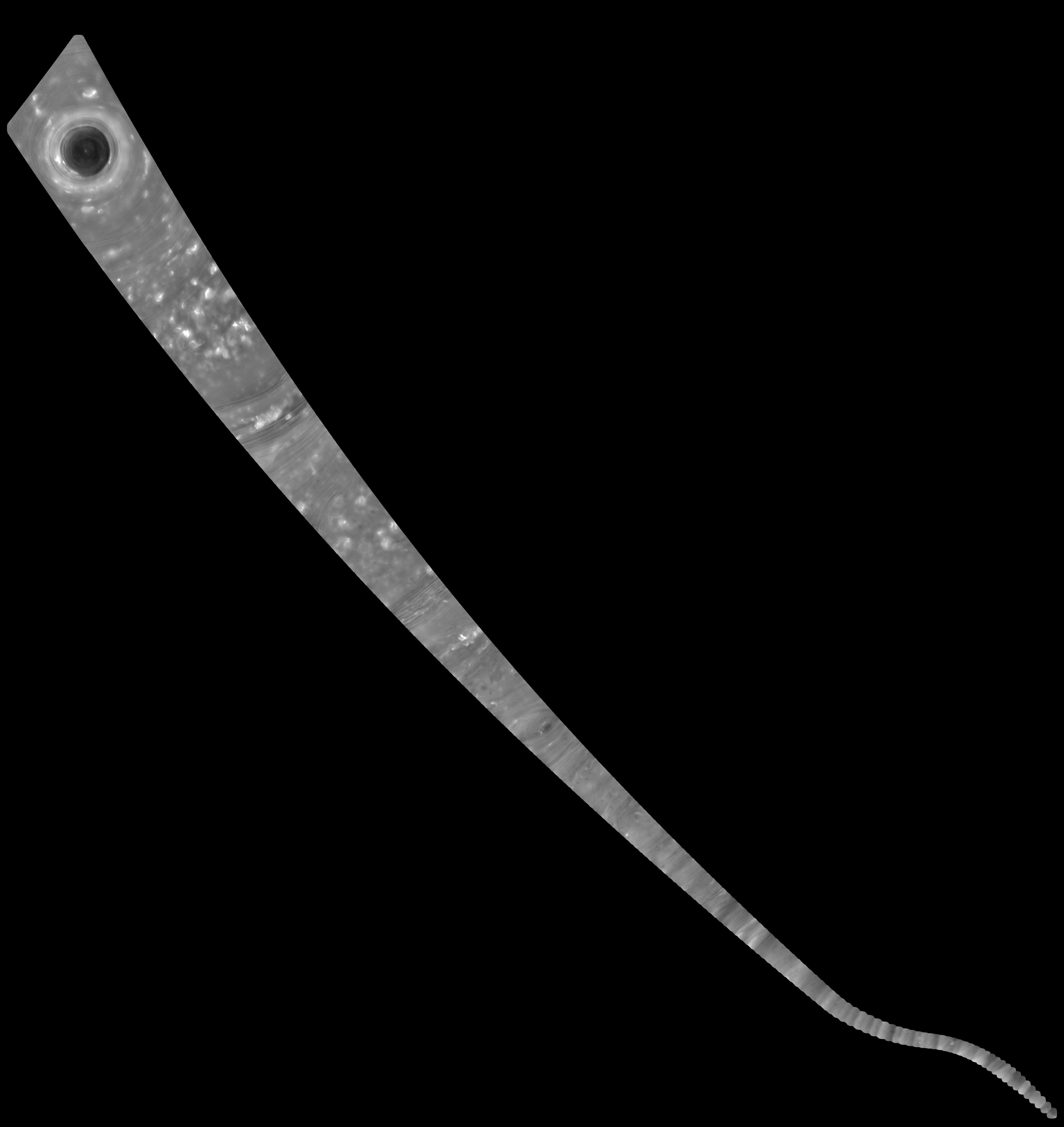 On April 26 the Cassini spacecraft swooped toward Saturn on the first of its Grand Finale dives between Saturn and rings. In this long, thin, noodle mosaic, a rapid series of 137 low resolution images captured by Cassini's wide-angle camera track its progress across the gas giant's swirling cloud tops. The mosaic projection maps the arc along Saturn's atmospheric curve on to a flat image plane. At top, the first mosaic panel is centered at 90 degrees north, about 72,400 kilometers above Saturn's dark north polar vortex. As the mosaic progresses it narrows, the pixel scale shrinking from 8.7 kilometers to 1 kilometer per pixel. For the last panel, the spacecraft is 8,374 kilometers above a region 18 degrees north of Saturn's equator. Frame orientation changes near the bottom as Cassini rotates to maneuver its large, dish-shaped, high-gain antenna forward, providing a shield before crossing Saturn's ring plane.