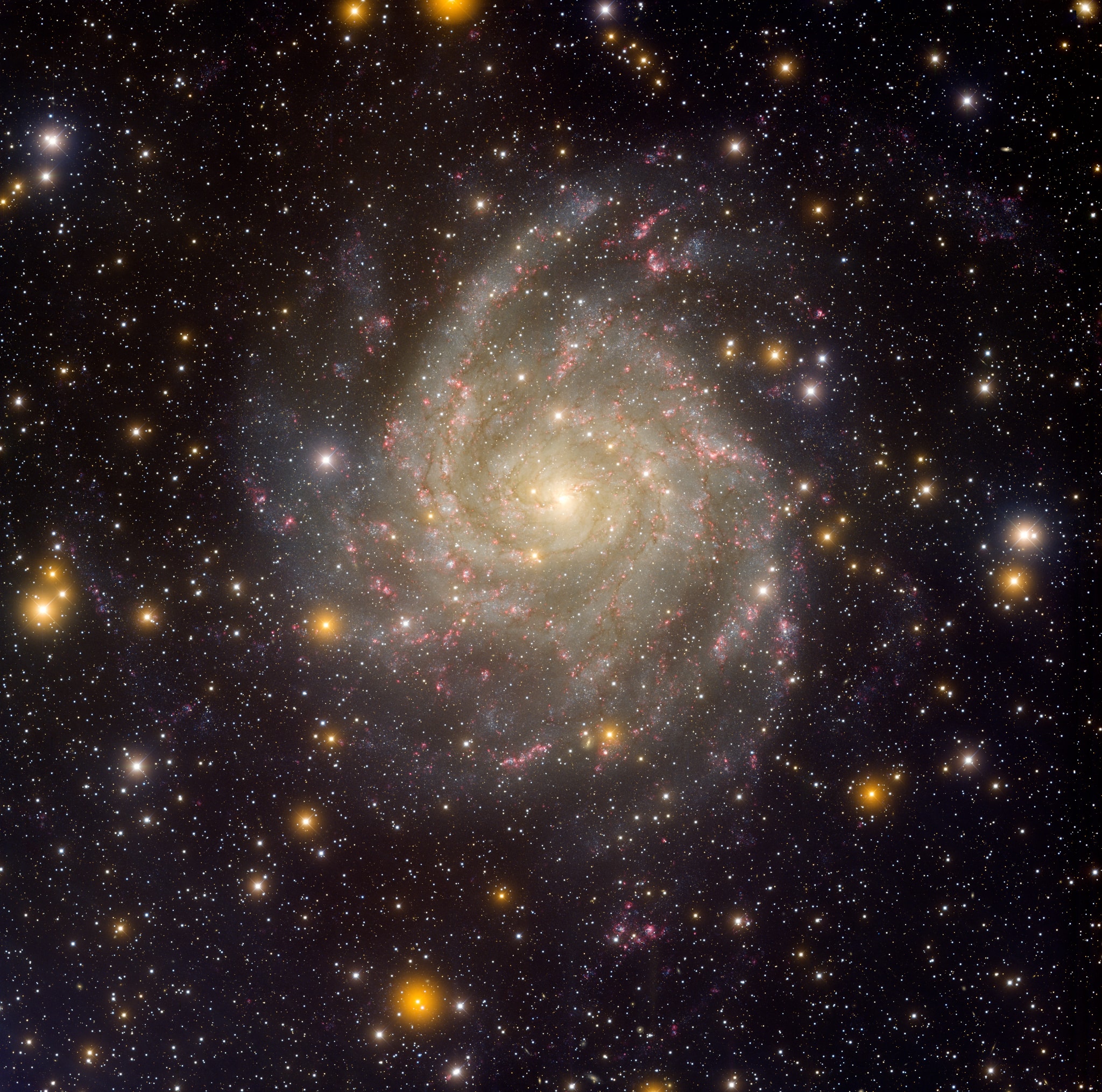 Similar in size to large, bright spiral galaxies in our neighborhood, IC 342 is a mere 10 million light-years distant in the long-necked, northern constellation Camelopardalis. A sprawling island universe, IC 342 would otherwise be a prominent galaxy in our night sky, but it is hidden from clear view and only glimpsed through the veil of stars, gas and dust clouds along the plane of our own Milky Way galaxy. Even though IC 342's light is dimmed by intervening cosmic clouds, this sharp telescopic image traces the galaxy's own obscuring dust, blue star clusters, and glowing pink star forming regions along spiral arms that wind far from the galaxy's core. IC 342 may have undergone a recent burst of star formation activity and is close enough to have gravitationally influenced the evolution of the local group of galaxies and the Milky Way.
