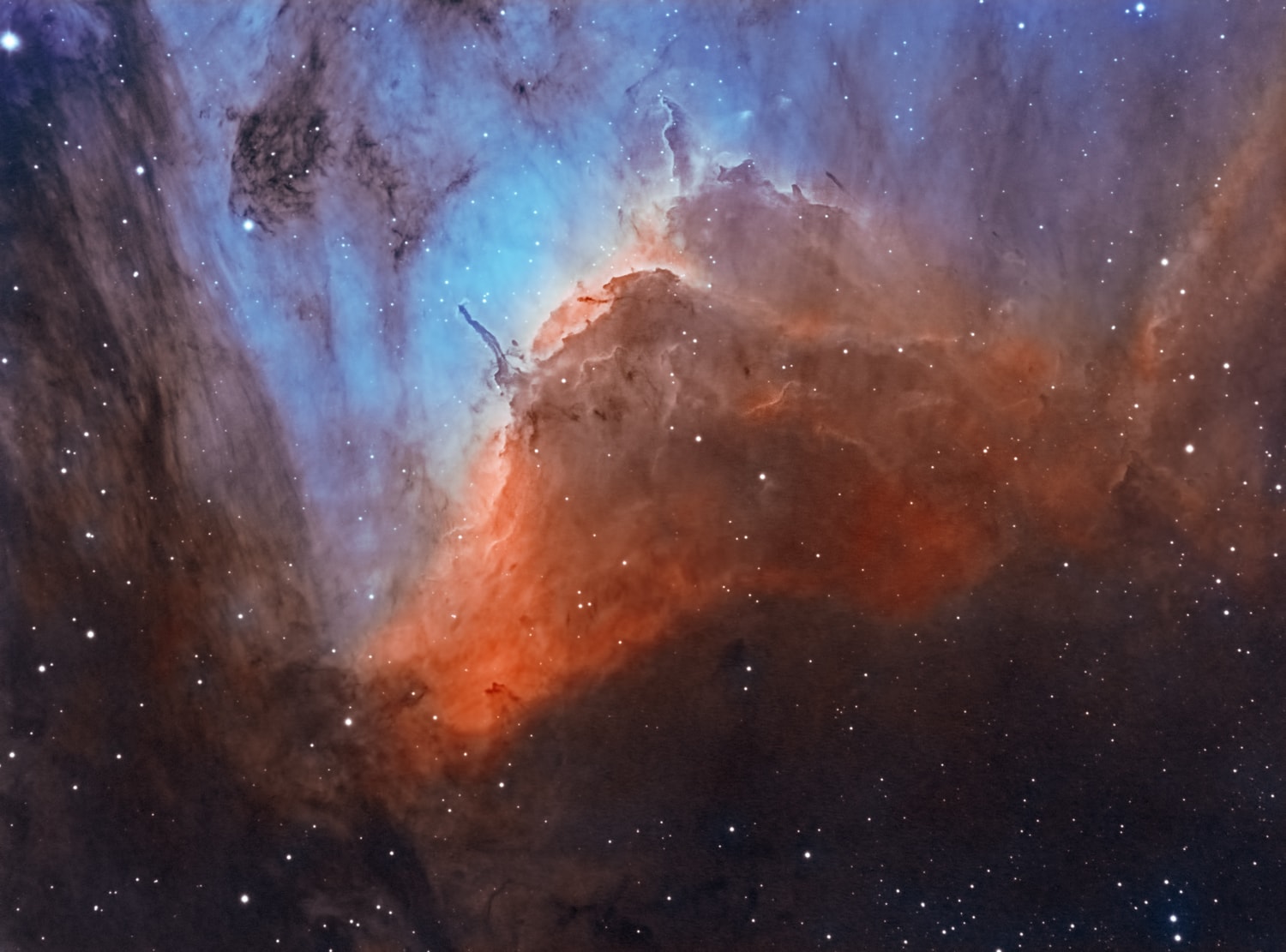The prominent ridge of emission featured in this vivid skyscape is designated IC 5067. Part of a larger emission region with a distinctive shape, popularly called The Pelican Nebula, the ridge spans about 10 light-years and follows the curve of the cosmic pelican's head and neck. Fantastic, dark shapes inhabiting the view are clouds of cool gas and dust sculpted by energetic radiation from young, hot, massive stars. But stars are also forming within the dark shapes. Twin jets emerging from the tip of the long, dark tendril left of center are the telltale signs of an embedded protostar cataloged as Herbig-Haro 555 (HH 555). In fact, other Herbig-Haro objects indicating the presence of protostars are found within the frame. The Pelican Nebula itself, also known as IC 5070, is about 2,000 light-years away. To find it, look northeast of bright star Deneb in the high flying constellation Cygnus.