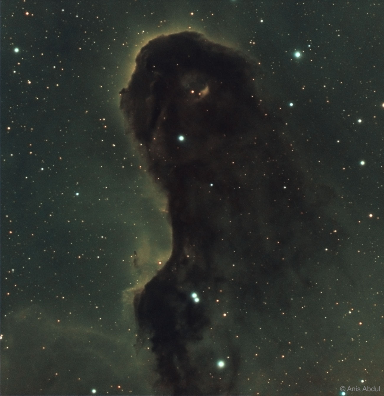 Is there a monster in IC 1396?  Known to some as the Elephant's Trunk Nebula, parts of gas and dust clouds of this star formation region may appear to take on foreboding forms, some nearly human.  The only real monster here, however, is a bright young star too far from Earth to hurt us.  Energetic light from this star is eating away the dust of the dark cometary globule near the top of the featured image.  Jets and winds of particles emitted from this star are also pushing away ambient gas and dust.  Nearly 3,000 light-years distant, the relatively faint IC 1396 complex covers a much larger region on the sky than shown here, with an apparent width of more than 10 full moons.   APOD Retrospective: August 2