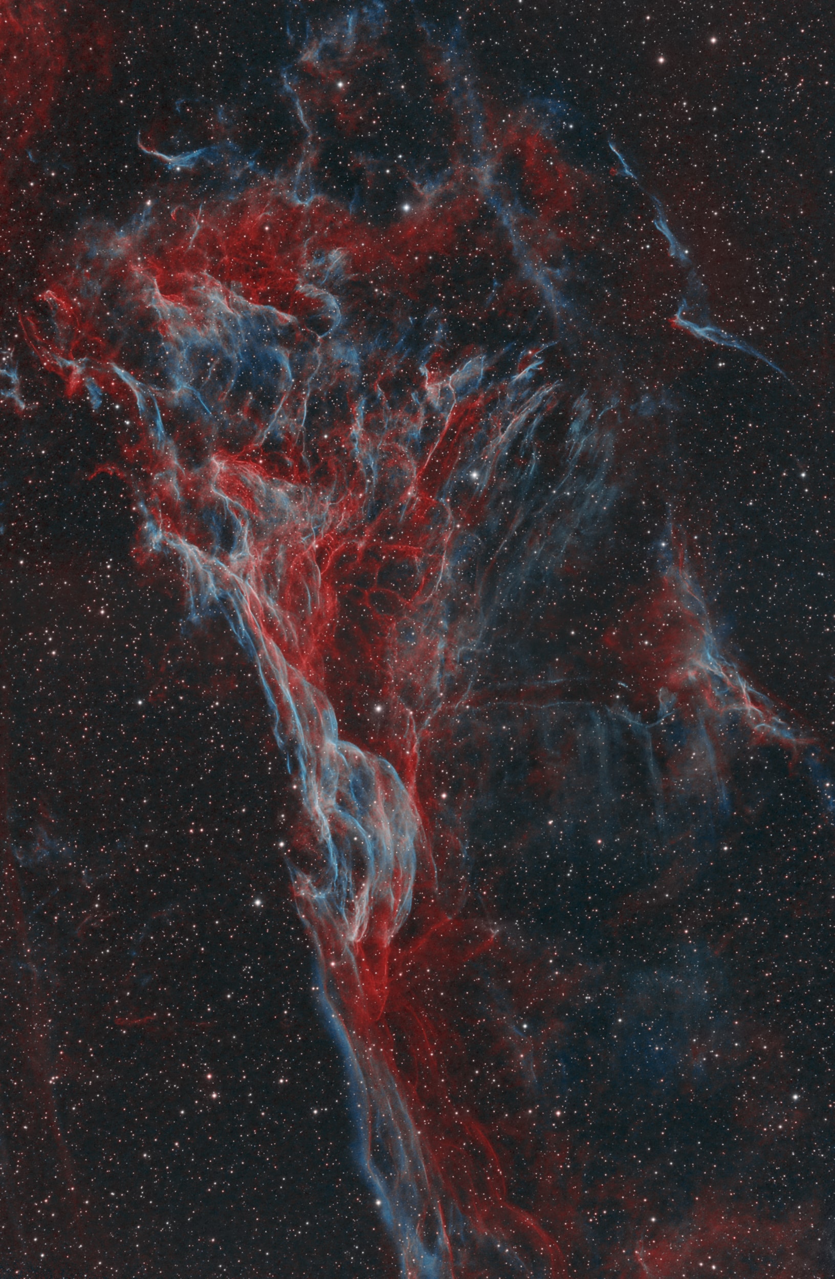 Chaotic in appearance, these tangled filaments of shocked, glowing gas are spread across planet Earth's sky toward the constellation of Cygnus as part of the Veil Nebula. The Veil Nebula itself is a large supernova remnant, an expanding cloud born of the death explosion of a massive star. Light from the original supernova explosion likely reached Earth over 5,000 years ago. Blasted out in the cataclysmic event, the interstellar shock waves plow through space sweeping up and exciting interstellar material.  The glowing filaments are really more like long ripples in a sheet seen almost edge on, remarkably well separated into the glow of ionized hydrogen atoms shown in red and oxygen in blue hues. Also known as the Cygnus Loop, the Veil Nebula now spans nearly 3 degrees or about 6 times the diameter of the full Moon. While that translates to over 70 light-years at its estimated distance of 1,500 light-years, this field of view spans less than one third that distance. Often identified as Pickering's Triangle for a director of Harvard College Observatory, the complex of filaments is cataloged as NGC 6979. It is also known for its discoverer, astronomer Williamina Fleming, as Fleming's Triangular Wisp.