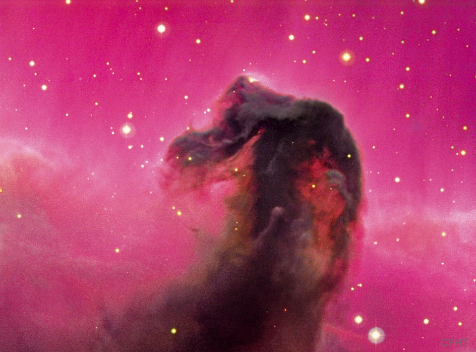One of the most identifiable nebulae in the sky, the Horsehead Nebula in Orion, is part of a large, dark, molecular cloud.  Also known as Barnard 33, the unusual shape was first discovered on a photographic plate in the late 1800s.  The red glow originates from hydrogen gas predominantly behind the nebula, ionized by the nearby bright star Sigma Orionis.  The darkness of the Horsehead is caused mostly by thick dust, although the lower part of the Horsehead's neck casts a shadow to the left.  Streams of gas leaving the nebula are funneled by a strong magnetic field.  Bright spots in the Horsehead Nebula's base are young stars just in the process of forming.  Light takes about 1,500 years to reach us from the Horsehead Nebula.  The featured image was taken with the large 3.6-m Canada-France-Hawaii Telescope in Hawaii, USA.   Free APOD Lectures: January 5 in NYC & January 9 in DC