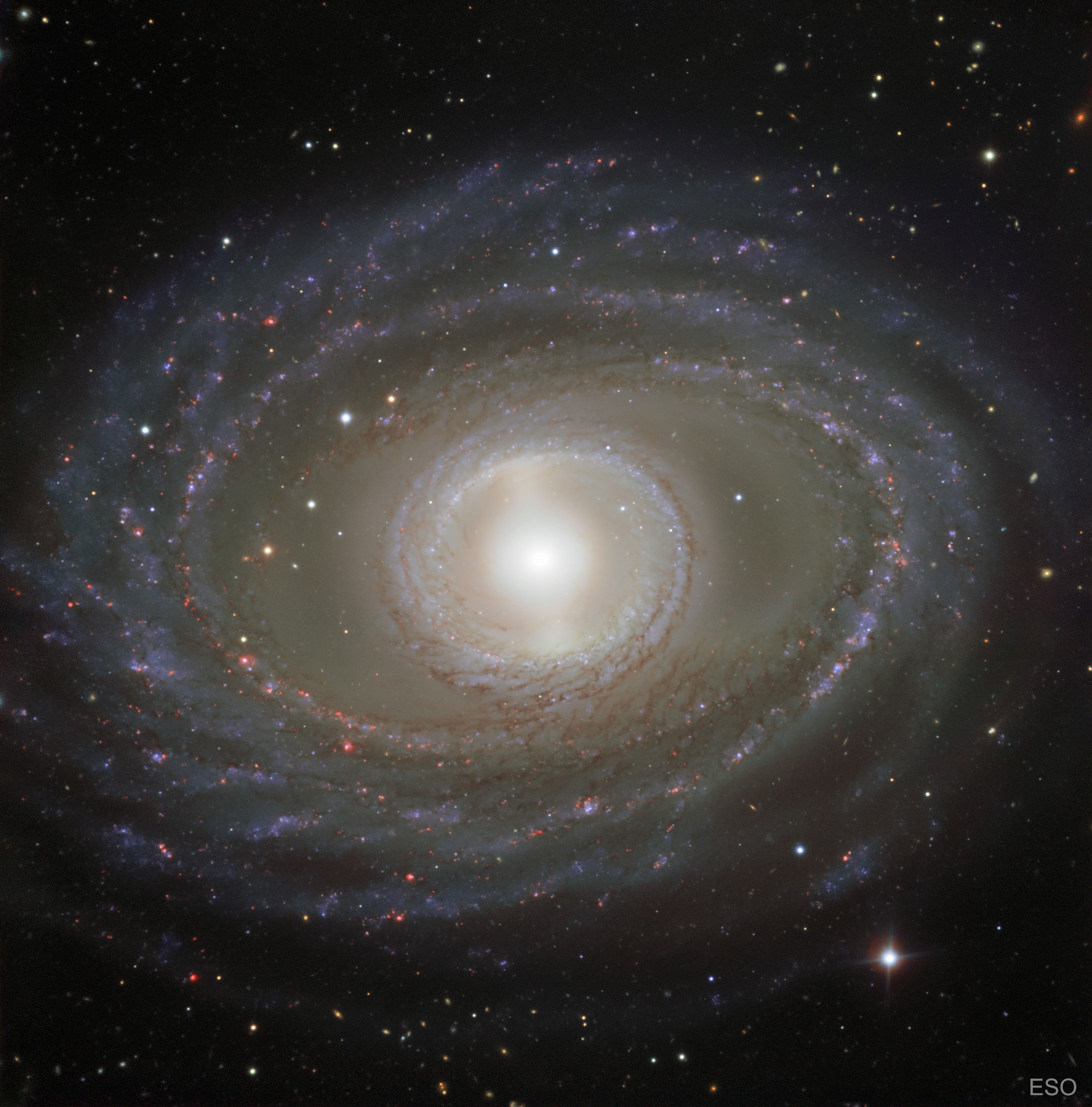 Why do some spiral galaxies have a ring around the center? Spiral galaxy NGC 1398 not only has a ring of pearly stars, gas and dust around its center, but a bar of stars and gas across its center, and spiral arms that appear like ribbons farther out.  The featured image was taken with ESO's Very Large Telescope at the Paranal Observatory in Chile and resolves this grand spiral in impressive detail. NGC 1398 lies about 65 million light years distant, meaning the light we see today left this galaxy when dinosaurs were disappearing from the Earth.  The photogenic galaxy is visible with a small telescope toward the constellation of the Furnace (Fornax). The ring near the center is likely an expanding density wave of star formation, caused either by a gravitational encounter with another galaxy, or by the galaxy's own gravitational asymmetries.