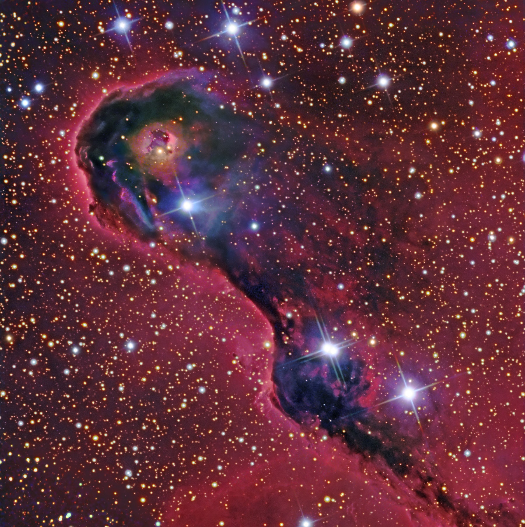 With image data from telescopes large and small, this close-up features the dusty Elephant's Trunk Nebula. It winds through the emission nebula and young star cluster complex IC 1396, in the high and far off constellation of Cepheus. Also known as vdB 142, the cosmic elephant's trunk is over 20 light-years long. The colorful view highlights bright, swept-back ridges that outline the region's pockets of cool interstellar dust and gas. Such embedded, dark, tendril-shaped clouds contain the raw material for star formation and hide protostars within. Nearly 3,000 light-years distant, the relatively faint IC 1396 complex covers a large region on the sky, spanning over 5 degrees. This dramatic scene spans a 1 degree wide field, about the size of 2 Full Moons.