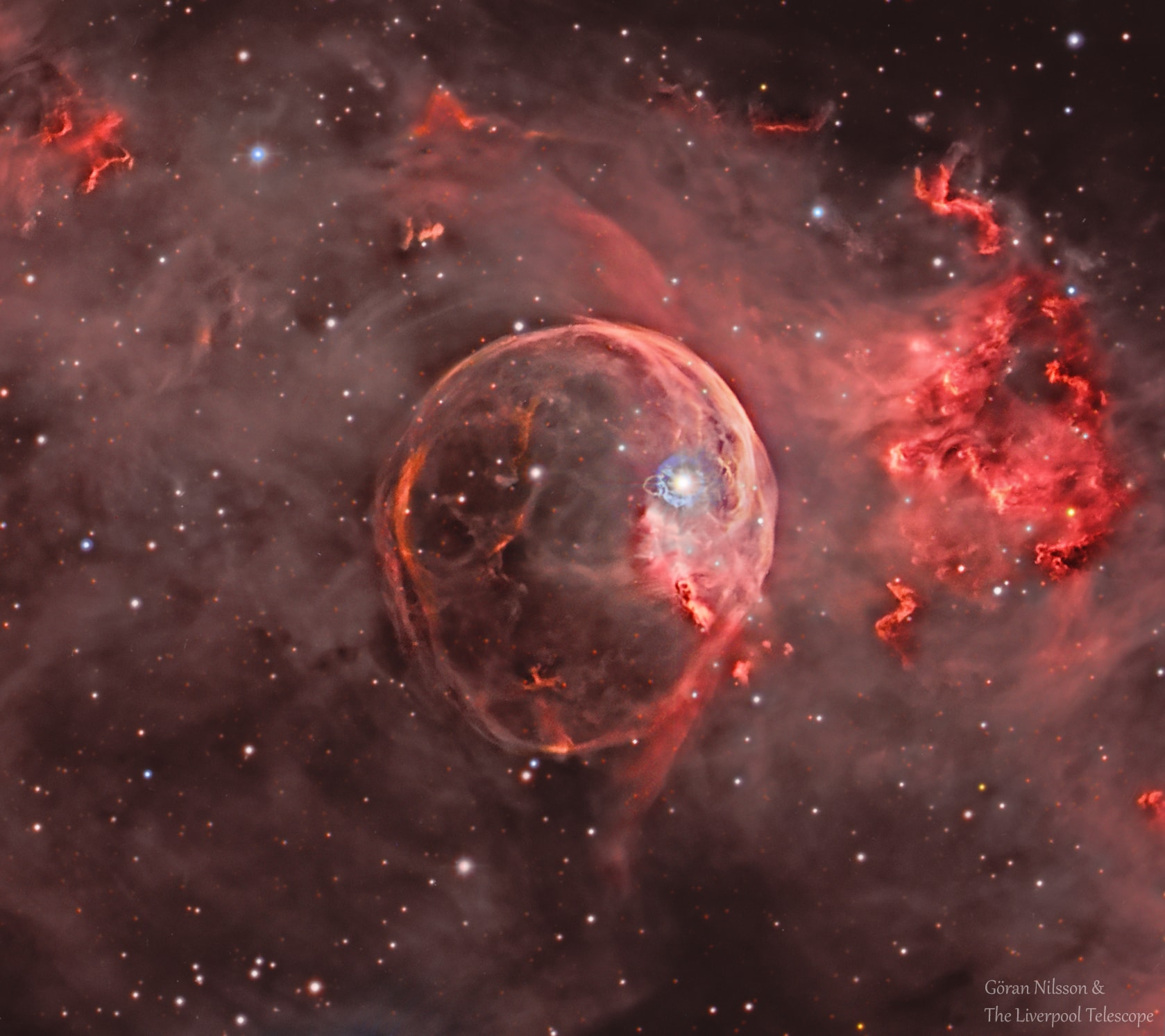 It's the bubble versus the cloud. NGC 7635, the Bubble Nebula, is being pushed out by the stellar wind of massive star BD+602522, visible in blue toward the right, inside the nebula. Next door, though, lives a giant molecular cloud, visible to the far right in red. At this place in space, an irresistible force meets an immovable object in an interesting way. The cloud is able to contain the expansion of the bubble gas, but gets blasted by the hot radiation from the bubble's central star. The radiation heats up dense regions of the molecular cloud causing it to glow. The Bubble Nebula, pictured here is about 10 light-years across and part of a much larger complex of stars and shells. The Bubble Nebula can be seen with a small telescope towards the constellation of the Queen of Aethiopia (Cassiopeia).