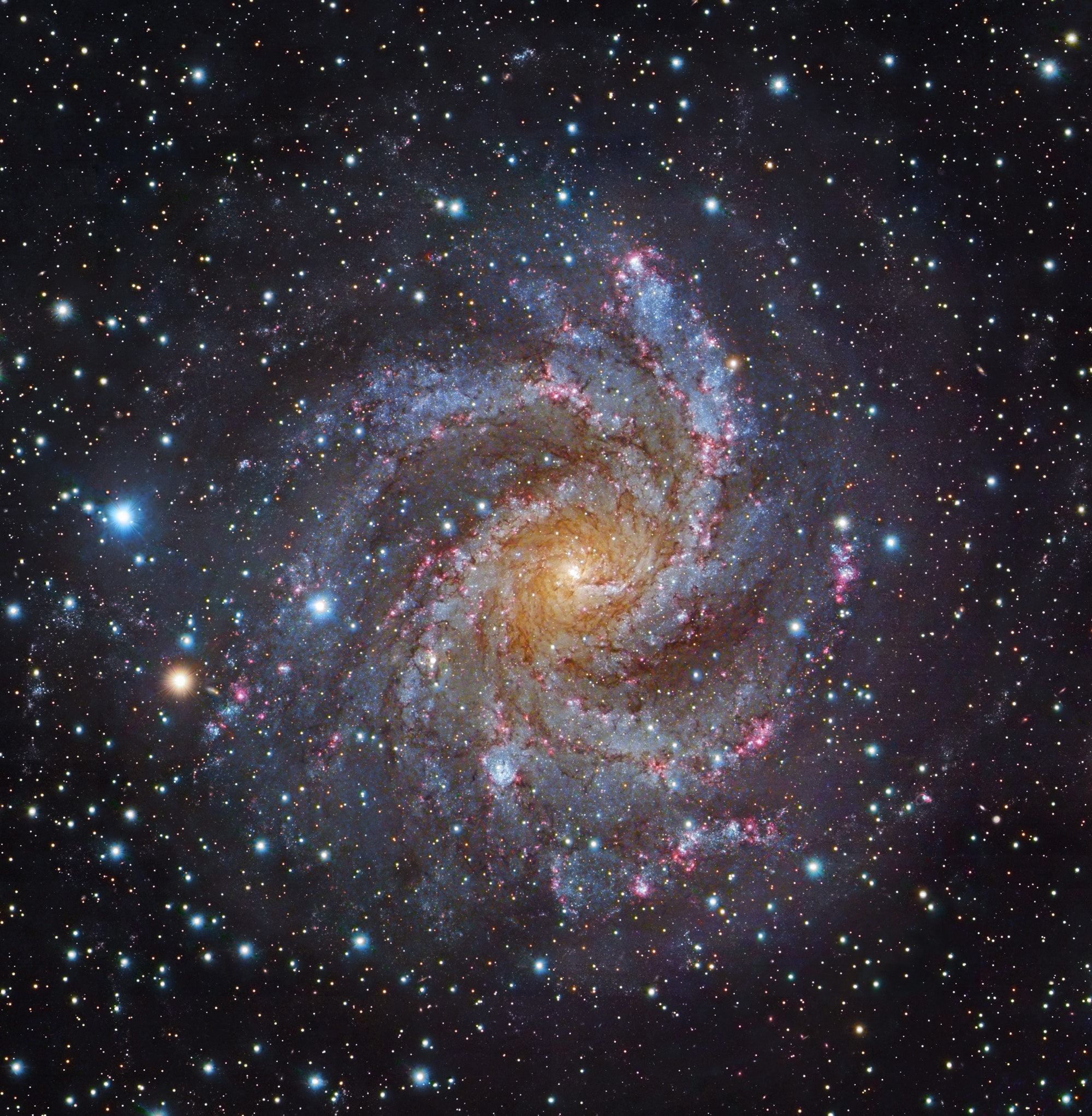 From our vantage point in the Milky Way Galaxy, we see NGC 6946 face-on. The big, beautiful spiral galaxy is located just 20 million light-years away, behind a veil of foreground dust and stars in the high and far-off constellation of Cepheus. From the core outward, the galaxy's colors change from the yellowish light of old stars in the center to young blue star clusters and reddish star forming regions along the loose, fragmented spiral arms. NGC 6946 is also bright in infrared light and rich in gas and dust, exhibiting a high star birth and death rate. In fact, since the early 20th century ten confirmed supernovae, the death explosions of massive stars, were discovered in NGC 6946. Nearly 40,000 light-years across, NGC 6946 is also known as the Fireworks Galaxy. This remarkable portrait of NGC 6946 is a composite that includes image data from the 8.2 meter Subaru Telescope on Mauna Kea.