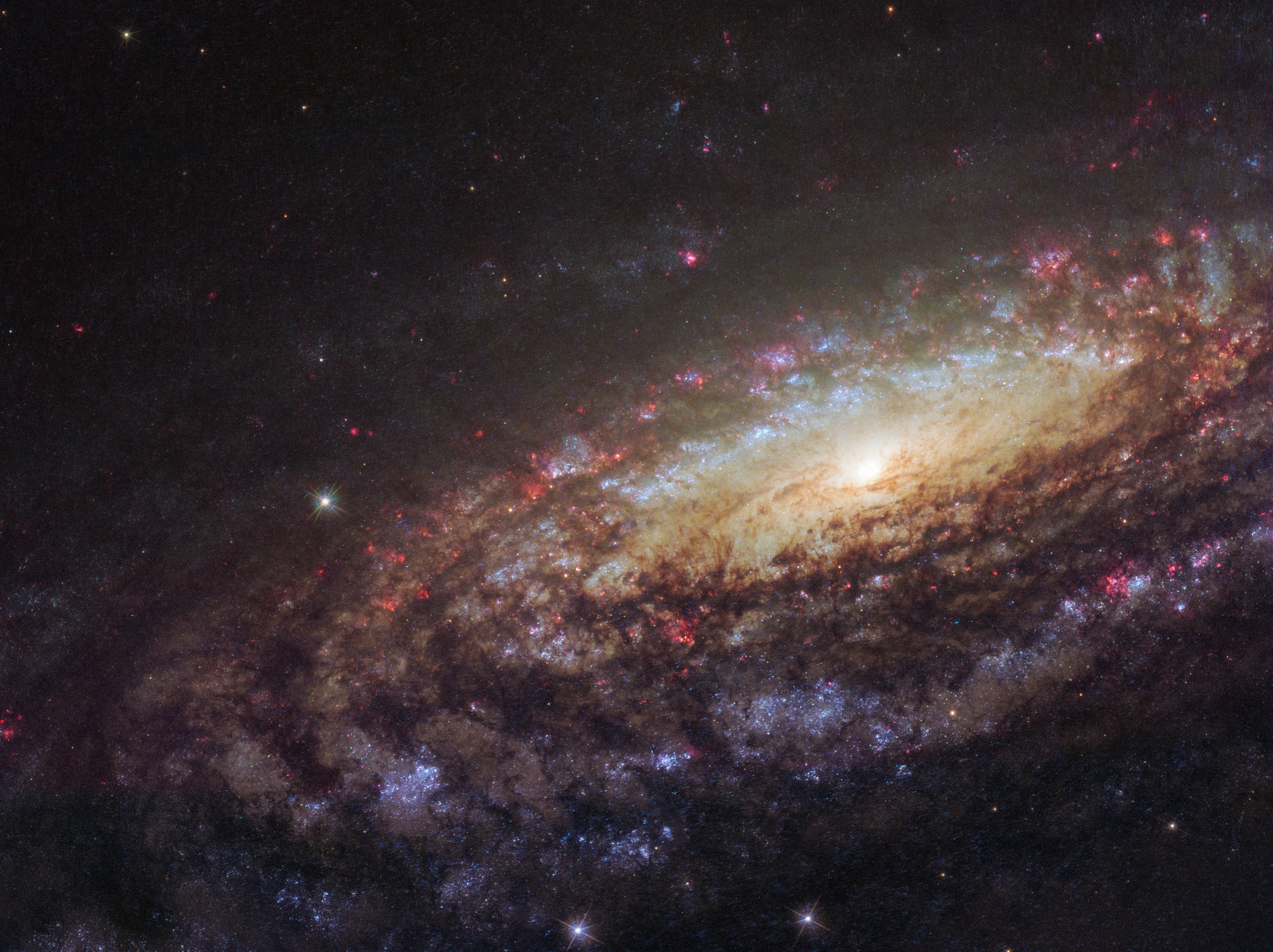 Big, beautiful spiral galaxy NGC 7331 is often touted as an analog to our own Milky Way. About 50 million light-years distant in the northern constellation Pegasus, NGC 7331 was recognized early on as a spiral nebula and is actually one of the brighter galaxies not included in Charles Messier's famous 18th century catalog. Since the galaxy's disk is inclined to our line-of-sight, long telescopic exposures often result in an image that evokes a strong sense of depth. In this Hubble Space Telescope close-up, the galaxy's magnificent spiral arms feature dark obscuring dust lanes, bright bluish clusters of massive young stars, and the telltale reddish glow of active star forming regions. The bright yellowish central regions harbor populations of older, cooler stars. Like the Milky Way, a supermassive black hole lies at the core of spiral galaxy NGC 7331.