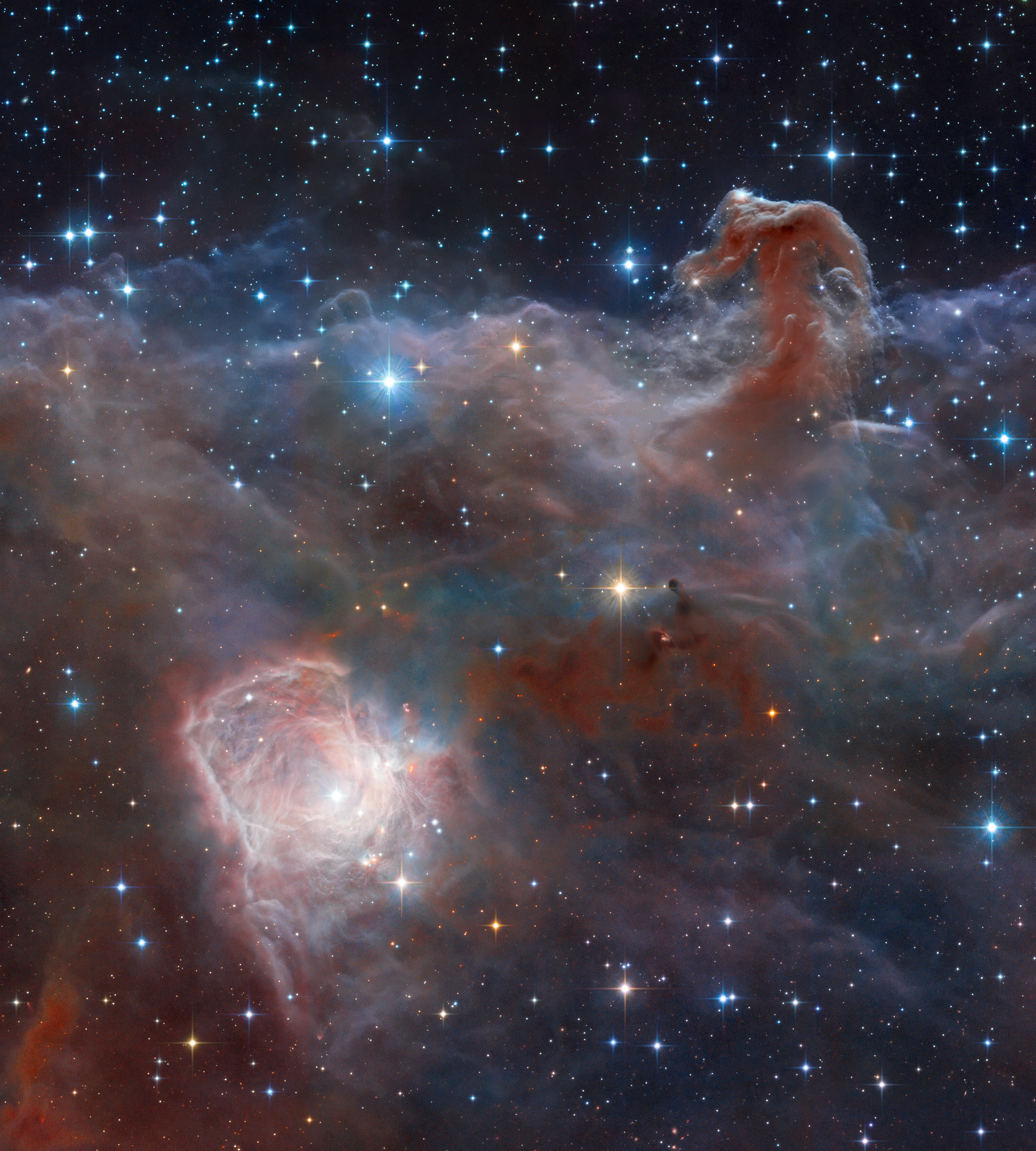 Combined image data from the massive, ground-based VISTA telescope and the Hubble Space Telescope was used to create this wide perspective of the interstellar landscape surrounding the famous Horsehead Nebula. Captured at near-infrared wavelengths, the region's dusty molecular cloud sprawls across the scene that covers an angle about two-thirds the size of the Full Moon on the sky. Left to right the frame spans just over 10 light-years at the Horsehead's estimated distance of 1,600 light-years. Also known as Barnard 33, the still recognizable Horsehead Nebula stands at the upper right, the near-infrared glow of a dusty pillar topped with newborn stars. Below and left, the bright reflection nebula NGC 2023 is itself the illuminated environs of a hot young star. Obscuring clouds below the base of the Horsehead and on the outskirts of NGC 2023 show the tell-tale far red emission of energetic jets, known as Herbig-Haro objects, also associated with newborn stars.