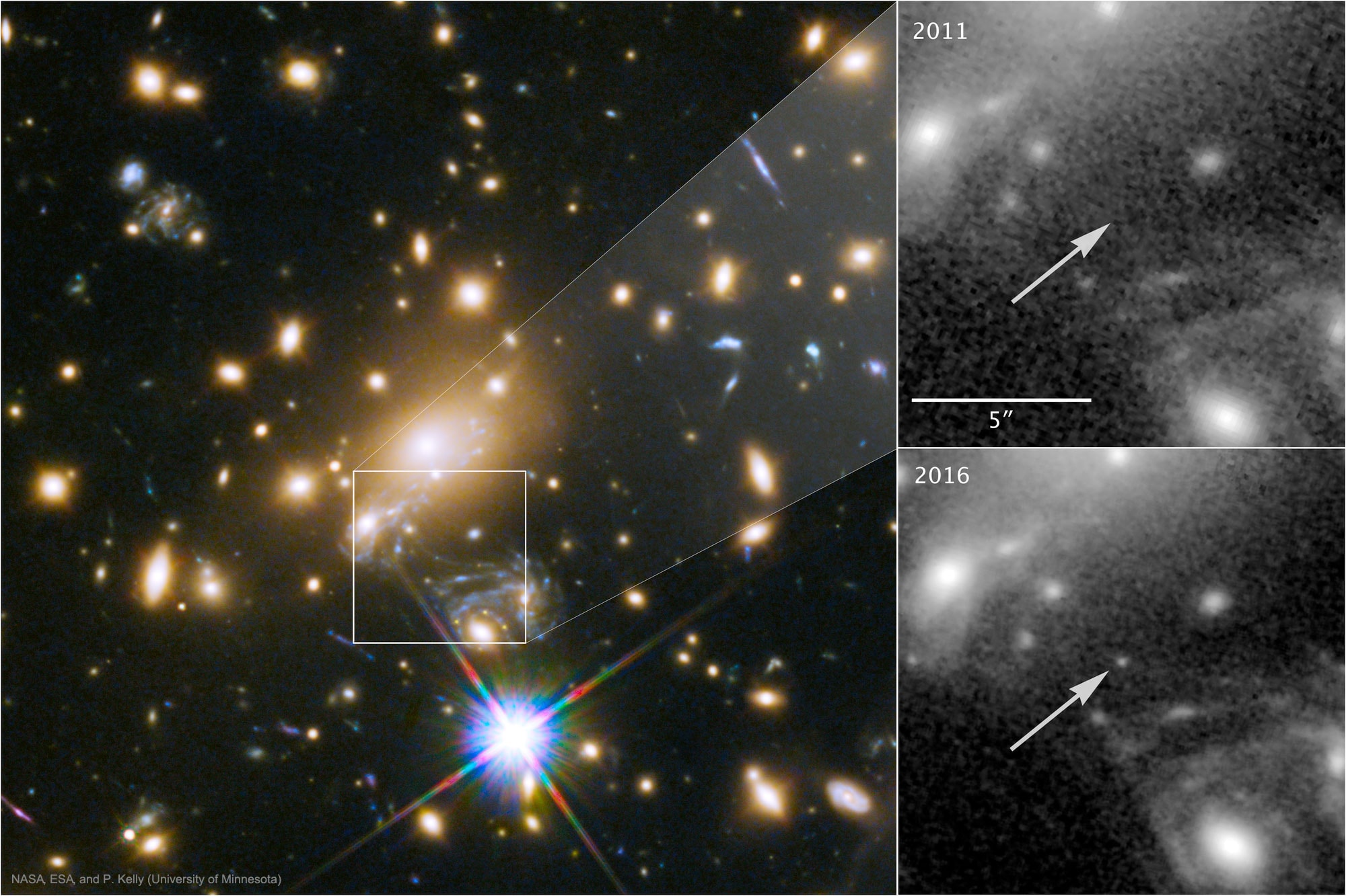 Was this flash the farthest star yet seen? An unexpected flash of light noticed fortuitously on Hubble Space Telescope images may prove to be not only an unusual gravitational lensing event but also an image of a normal star 100 times farther away than any star previously imaged individually. The featured image shows the galaxy cluster on the left complete with many yellowish galaxies, while on the right is an expanded square where a source appeared in 2016 that was not evident in 2011. The spectrum and variability of this source are strangely unlike a supernova, but rather appear more consistent with a normal blue supergiant star magnified by about a factor of 2000 by a confluence of aligned gravitational lenses.  Dubbed Icarus, the source is in a galaxy well behind the galaxy cluster and far across the universe -- at redshift 1.5.  If the lens interpretation is correct and Icarus is not an exploding star, further observations of it and other similarly magnified stars could give information about the stellar and dark matter content in the galaxy cluster and the universe.   Open Science: Browse 1,600+ codes in the Astrophysics Source Code Library