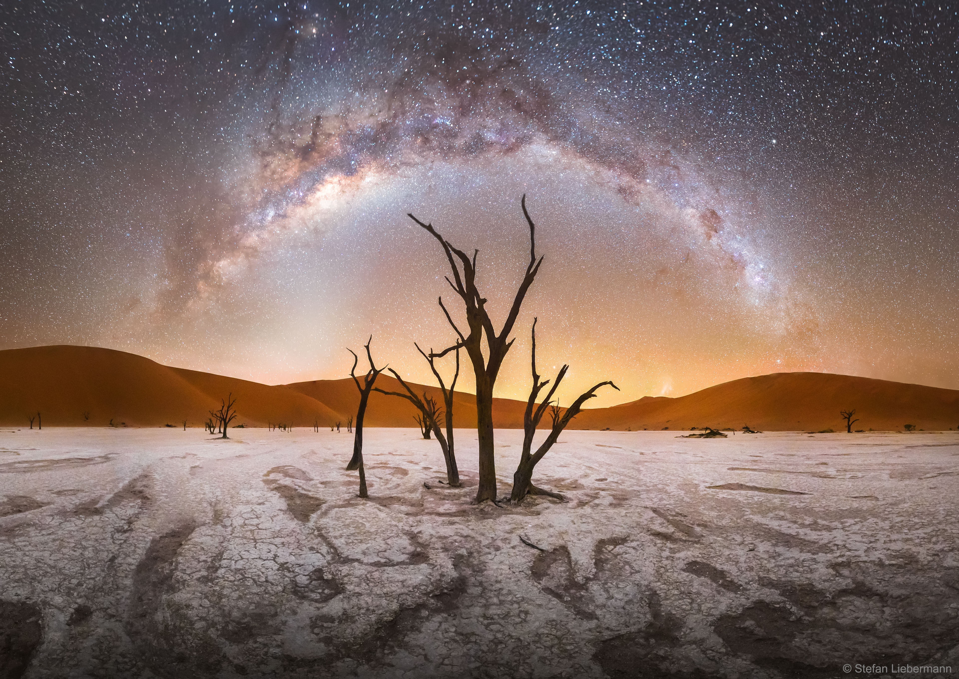 What planet is this?  It is the only planet currently known to have trees. The trees in Deadvlei, though, have been dead for over 500 years.  Located in Namib-Naukluft Park in Namibia (Earth), saplings grew after rainfall caused a local river to overflow, but died after sand dunes shifted to section off the river. High above and far in the distance, the band of our Milky Way Galaxy forms an arch over a large stalk in this well-timed composite image, taken last month. The soil of white clay appears to glow by reflected starlight. Rising on the left, under the Milky Way's arch, is a band of zodiacal light -- sunlight reflected by dust orbiting in the inner Solar System. On the right, just above one of Earth's larger sand dunes, an astute eye can find the Large Magellanic Cloud, a satellite galaxy of our galaxy. Finding the Small Magellanic Cloud in the featured image, though, is perhaps too hard.