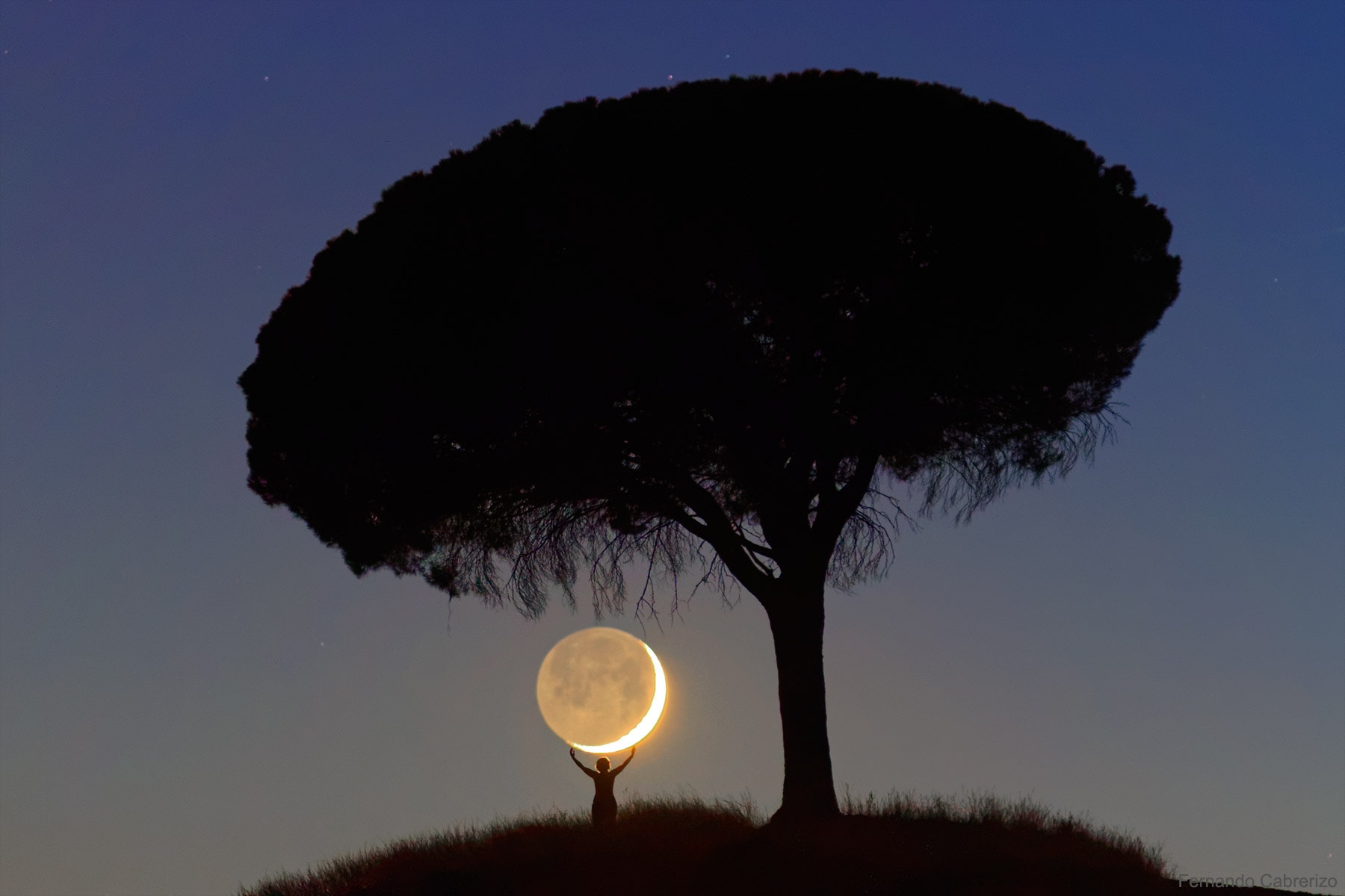 I love you so much that I brought you the Moon.  Please take it before this tree becomes more interested.  Also, the Moon is heavier than I thought.  And I foolishly picked it up by the hot side by mistake.  But it is for you and, well, the others reading this APOD.  Promise to keep this image -- our image -- in a safe place, and know that it was taken in a single, well-planned exposure in Valladolid, Spain.  Please take it and keep it always as a token of our love and, well, April Fool's Day.   Retrospective: April Fool's Day APODs