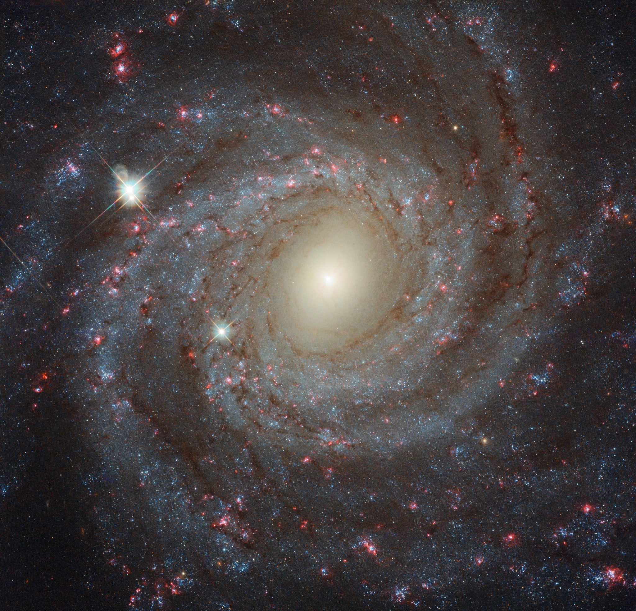 From our vantage point in the Milky Way Galaxy, we see NGC 3344 face-on. Nearly 40,000 light-years across, the big, beautiful spiral galaxy is located just 20 million light-years away in the constellation of Leo Minor. This multi-color Hubble Space Telescope close-up of NGC 3344 includes remarkable details from near infrared to ultraviolet wavelengths. The frame extends some 15,000 light-years across the spiral's central regions. From the core outward, the galaxy's colors change from the yellowish light of old stars in the center to young blue star clusters and reddish star forming regions along the loose, fragmented spiral arms. Of course, the bright stars with a spiky appearance are in front of NGC 3344 and lie well within our own Milky Way.