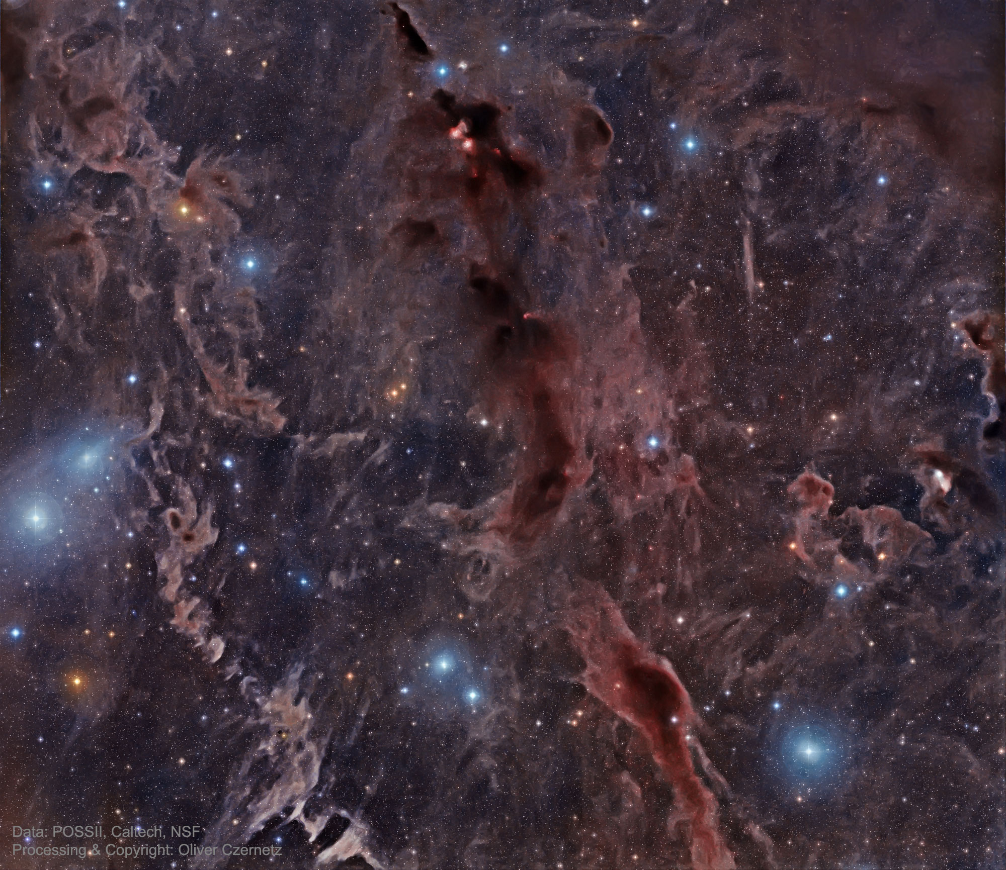 Sometimes even the dark dust of interstellar space has a serene beauty. One such place occurs toward the constellation of Taurus.  The filaments featured here can be found on the sky between the Pleiades star cluster and the California Nebula. This dust is not known not for its bright glow but for its absorption and opaqueness. Several bright stars are visible with their blue light seen reflecting off the brown dust.  Other stars appear unusually red as their light barely peeks through a column of dark dust, with red the color that remains after the blue is scattered away. Yet other stars are behind dust pillars so thick they are not visible here.  Although appearing serene, the scene is actually an ongoing loop of tumult and rebirth. This is because massive enough knots of gas and dust will gravitationally collapse to form new stars -- stars that both create new dust in their atmospheres and destroy old dust with their energetic light and winds.