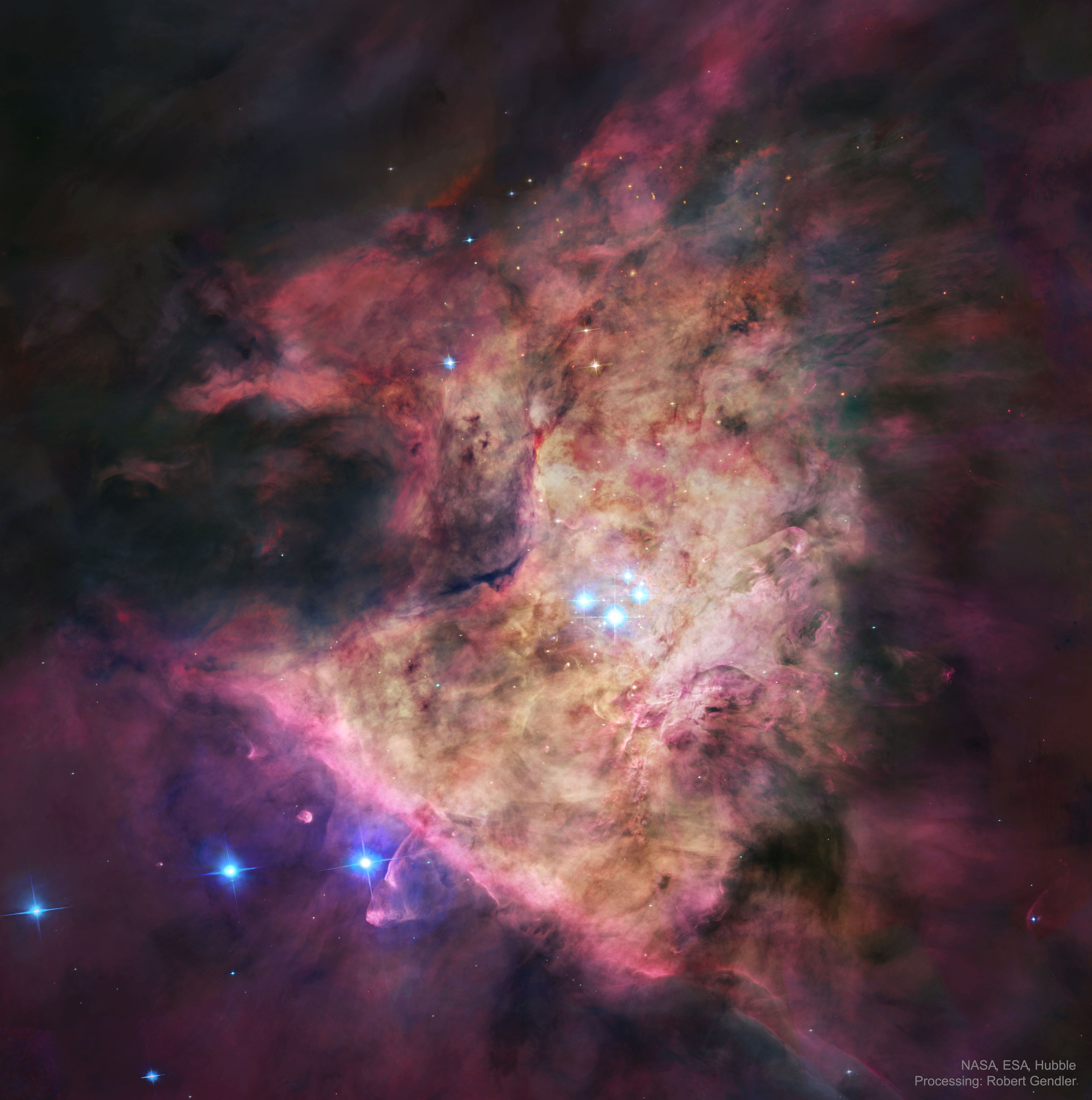 Near the center of this sharp cosmic portrait, at the heart of the Orion Nebula, are four hot, massive stars known as the Trapezium. Gathered within a region about 1.5 light-years in radius, they dominate the core of the dense Orion Nebula Star Cluster. Ultraviolet ionizing radiation from the Trapezium stars, mostly from the brightest star Theta-1 Orionis C powers the complex star forming region's entire visible glow. About three million years old, the Orion Nebula Cluster was even more compact in its younger years and a recent dynamical study indicates that runaway stellar collisions at an earlier age may have formed a black hole with more than 100 times the mass of the Sun. The presence of a black hole within the cluster could explain the observed high velocities of the Trapezium stars. The Orion Nebula's distance of some 1,500 light-years would make it the closest known black hole to planet Earth.   APOD Event: APOD Editor to speak at Fermilab on August 8