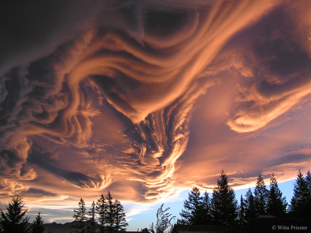 What kind of clouds are these? Although their cause is presently unknown, such unusual atmospheric structures, as menacing as they might seem, do not appear to be harbingers of meteorological doom. Formally recognized as a distinct cloud type only last year, Asperitas clouds can be stunning in appearance, unusual in occurrence, and are relatively unstudied. Whereas most low cloud decks are flat bottomed, asperitas clouds appear to have significant vertical structure underneath. Speculation therefore holds that asperitas clouds might be related to lenticular clouds that form near mountains, or mammatus clouds associated with thunderstorms, or perhaps a foehn wind -- a type of dry downward wind that flows off mountains. Such a wind called the Canterbury arch streams toward the east coast of New Zealand's South Island. The featured image, taken above Hanmer Springs in Canterbury, New Zealand, in 2005, shows great detail partly because sunlight illuminates the undulating clouds from the side.