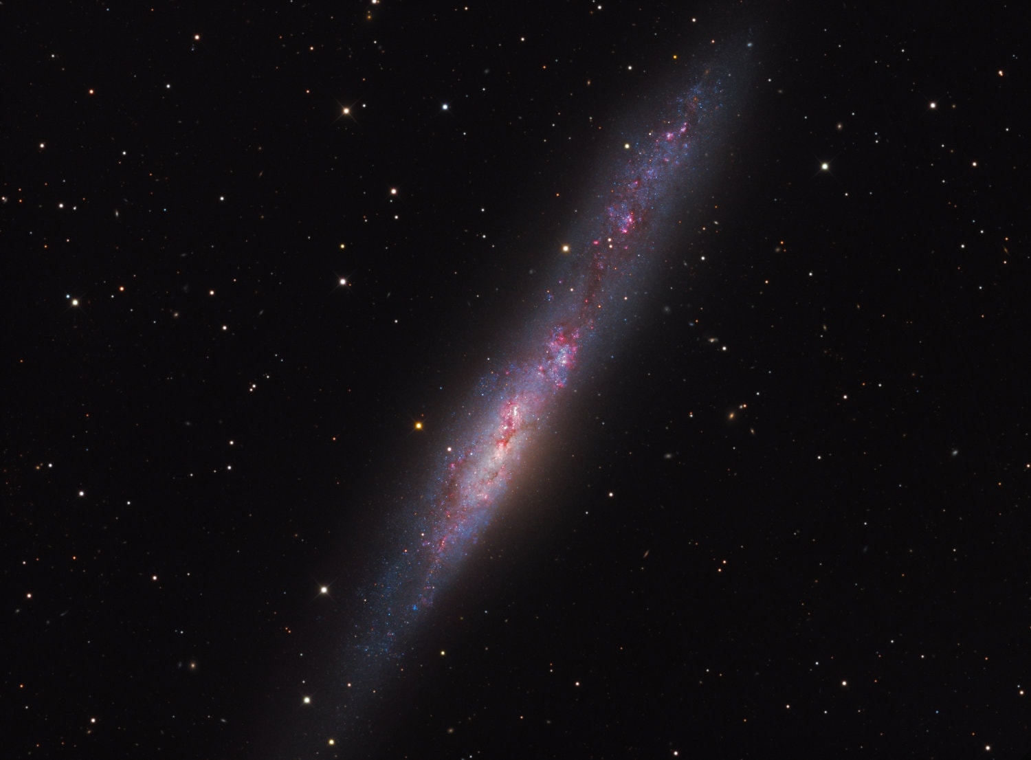 Irregular galaxy NGC 55 is thought to be similar to the Large Magellanic Cloud (LMC). But while the LMC is about 180,000 light-years away and is a well known satellite of our own Milky Way Galaxy, NGC 55 is more like 6 million light-years distant and is a member of the Sculptor Galaxy Group. Classified as an irregular galaxy, in deep exposures the LMC itself resembles a barred disk galaxy. Spanning about 50,000 light-years, NGC 55 is seen nearly edge-on though, presenting a flattened, narrow profile in contrast with our face-on view of the LMC. Just as large star forming regions create emission nebulae in the LMC, NGC 55 is also seen to be producing new stars. This highly detailed galaxy portrait highlights a bright core crossed with dust clouds, telltale pinkish star forming regions, and young blue star clusters in NGC 55.