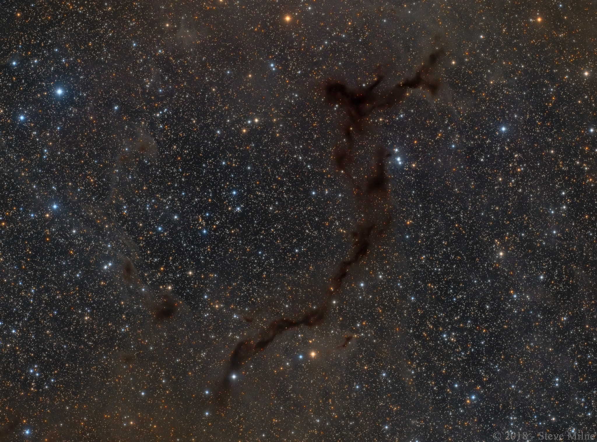 Light-years across, this suggestive shape known as the Seahorse Nebula appears in silhouette against a rich, luminous background of stars. Seen toward the royal northern constellation of Cepheus, the dusty, obscuring clouds are part of a Milky Way molecular cloud some 1,200 light-years distant. It is also listed as Barnard 150 (B150), one of 182 dark markings of the sky cataloged in the early 20th century by astronomer E. E. Barnard. Packs of low mass stars are forming within from collapsing cores only visible at long infrared wavelengths. Still, colorful stars in Cepheus add to the pretty, galactic skyscape.