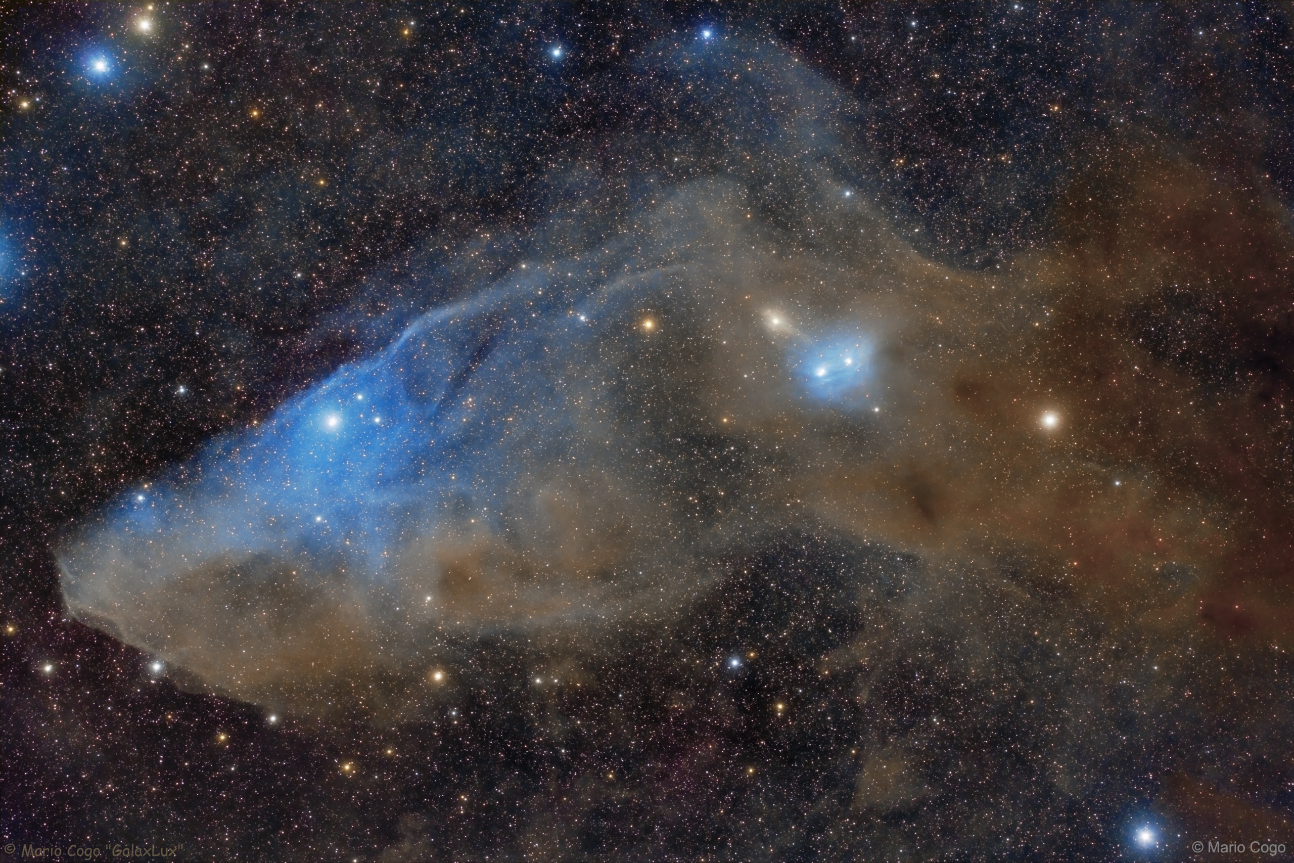 Do you see the horse's head?   What you are seeing is not the famous Horsehead nebula toward Orion but rather a fainter nebula that only takes on a familiar form with deeper imaging.  The main part of the here imaged molecular cloud complex is a reflection nebula cataloged as IC 4592.  Reflection nebulas are actually made up of very fine dust that normally appears dark but can look quite blue when reflecting the light of energetic nearby stars.  In this case, the source of much of the reflected light is a star at the eye of the horse.  That star is part of Nu Scorpii, one of the brighter star systems toward the constellation of the Scorpion (Scorpius).   A second reflection nebula dubbed IC 4601 is visible surrounding two stars to the right of the image center.