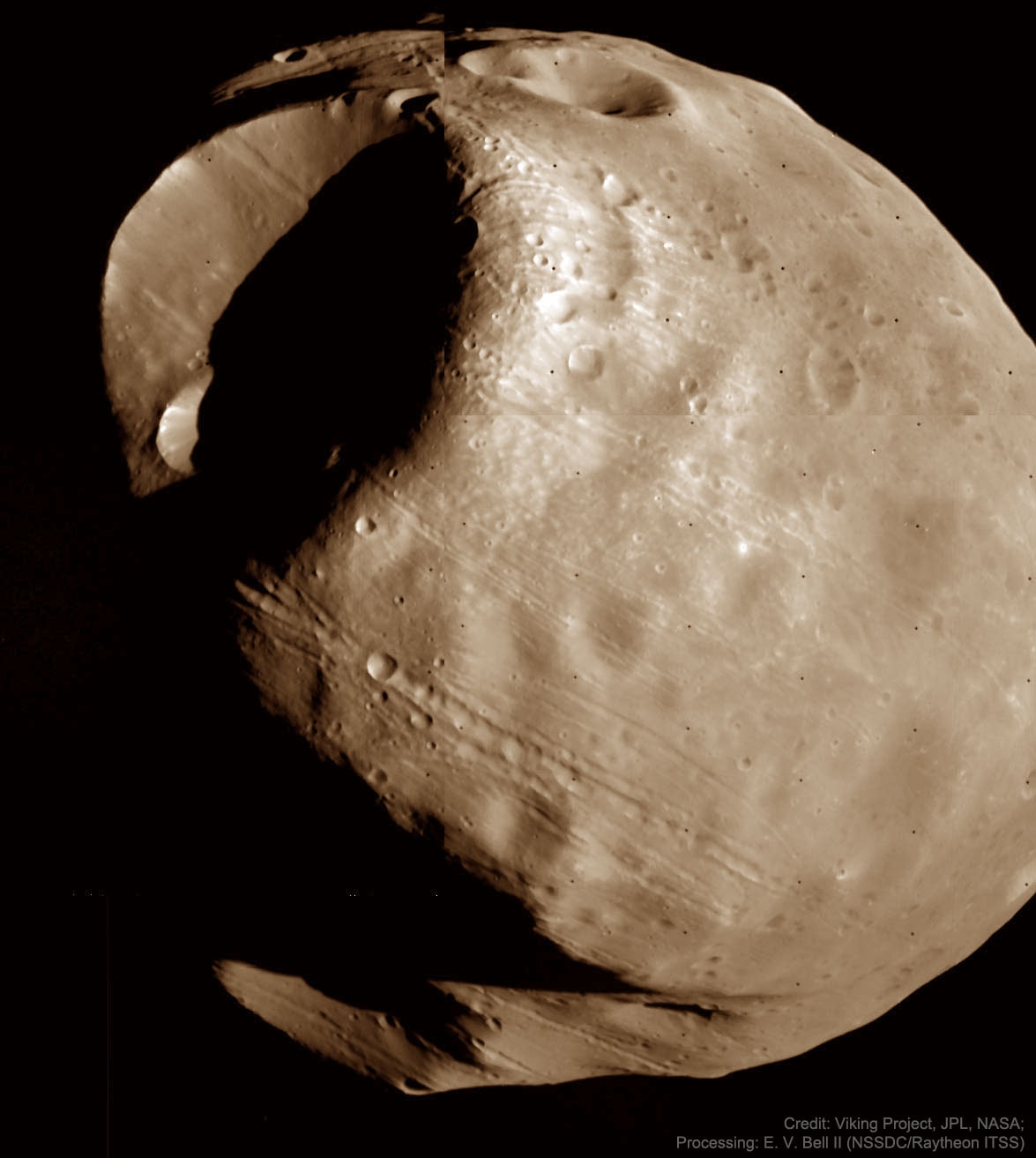 This moon is doomed. Mars, the red planet named for the Roman god of war, has two tiny moons, Phobos and Deimos, whose names are derived from the Greek for Fear and Panic. The origin of the Martian moons is unknown, though, with a leading hypothesis holding that they are captured asteroids. The larger moon, at 25-kilometers across, is Phobos, and is indeed seen to be a cratered, asteroid-like object in this false-colored image mosaic taken by the robotic Viking 1 mission in 1978.  A recent analysis of the unusual long grooves seen on Phobos indicates that they may result from boulders rolling away from the giant impact that created the crater on the upper left: Stickney Crater.  Phobos orbits so close to Mars - about 5,800 kilometers above the surface compared to 400,000 kilometers for our Moon - that gravitational tidal forces are dragging it down. The ultimate result will be for Phobos to break up in orbit and then crash down onto the Martian surface in about 50 million years.  Well before that -- tomorrow, in fact, if everything goes according to plan -- NASA's robotic InSight lander will touch down on Mars and begin investigating its internal structure.   Latest: Insight to Land on Mars Tomorrow