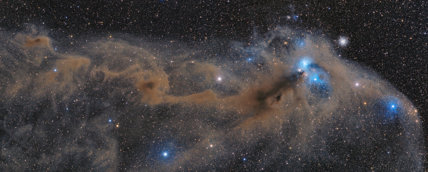 Cosmic dust clouds are draped across a rich field of stars in this broad telescopic panorama near the northern boundary of Corona Australis, the Southern Crown. Less than 500 light-years away the denser clouds effectively block light from more distant background stars in the Milky Way. The entire vista spans about 5 degrees or nearly 45 light-years at the clouds' estimated distance. Toward the right lies a group of bluish reflection nebulae cataloged as NGC 6726, 6727, 6729 and IC 4812. The characteristic blue color is produced as light from hot stars is reflected by the cosmic dust. The dust also obscures from view stars in the region still in the process of formation. Smaller yellowish nebula NGC 6729 surrounds young variable star R Coronae Australis. Below it are arcs and loops identified as Herbig Haro (HH) objects associated with energetic newborn stars. Magnificent globular star cluster NGC 6723 is above and right of the nebulae. Though NGC 6723 appears to be part of the group, its ancient stars actually lie nearly 30,000 light-years away, far beyond the young stars of the Corona Australis dust clouds.