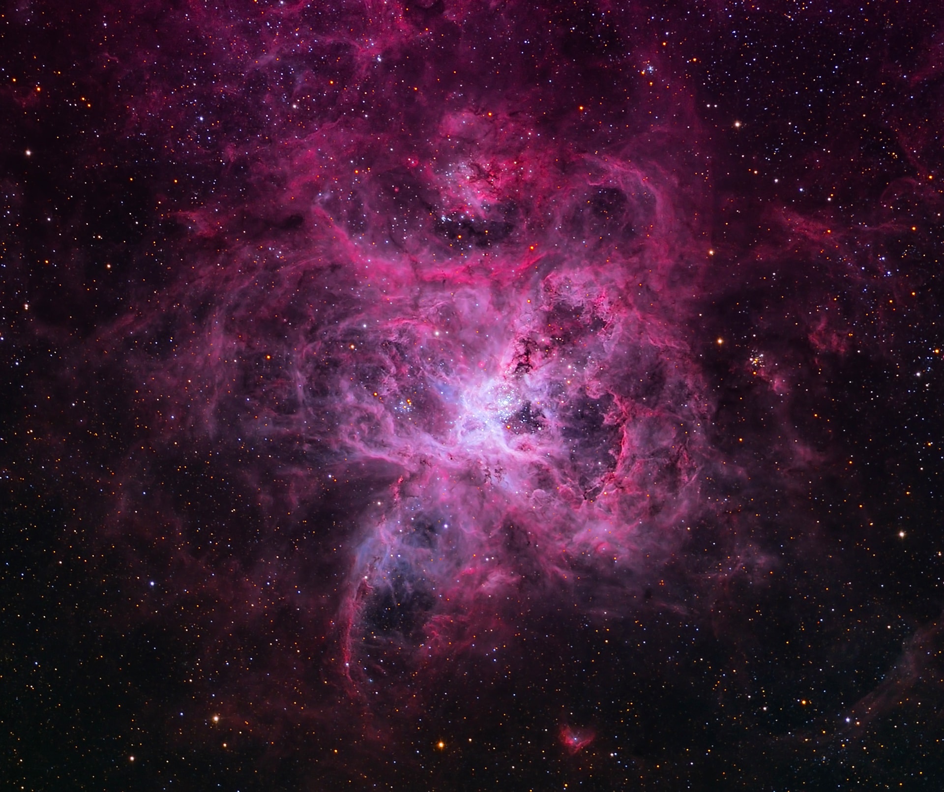 The Tarantula Nebula, also known as 30 Doradus, is more than a thousand light-years in diameter, a giant star forming region within nearby satellite galaxy the Large Magellanic Cloud. About 180 thousand light-years away, it's the largest, most violent star forming region known in the whole Local Group of galaxies. The cosmic arachnid sprawls across this spectacular view, composed with narrowband filter data centered on emission from ionized hydrogen atoms. Within the Tarantula (NGC 2070), intense radiation, stellar winds and supernova shocks from the central young cluster of massive stars, cataloged as R136, energize the nebular glow and shape the spidery filaments. Around the Tarantula are other star forming regions with young star clusters, filaments, and blown-out bubble-shaped clouds. In fact, the frame includes the site of the closest supernova in modern times, SN 1987A, left of center. The rich field of view spans about 1 degree or 2 full moons, in the southern constellation Dorado. But were the Tarantula Nebula closer, say 1,500 light-years distant like the local star forming Orion Nebula, it would take up half the sky.   Still going on: Leonid Meteor Shower