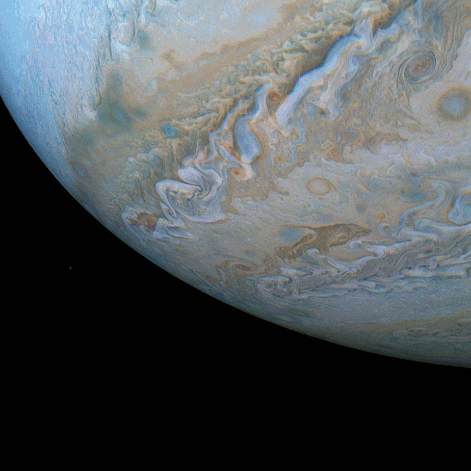 On October 29, the Juno spacecraft once again dove near the turbulent Jovian cloud tops. Its 16th orbital closest approach or perijove passage, brought Juno within 3,500 kilometers of the Solar System's largest planetary atmosphere. These frames, recorded by JunoCam while the spacecraft cruised 20 - 50 thousand kilometers above the planet's middle southern latitudes, seem to follow a swirling cloud shaped remarkably like a dolphin. Swimming along Jupiter's darker South South Temperate Belt, this dolphin is itself planet-sized though, some thousands of kilometers across. Juno's next perijove passage is coming up on December 21.