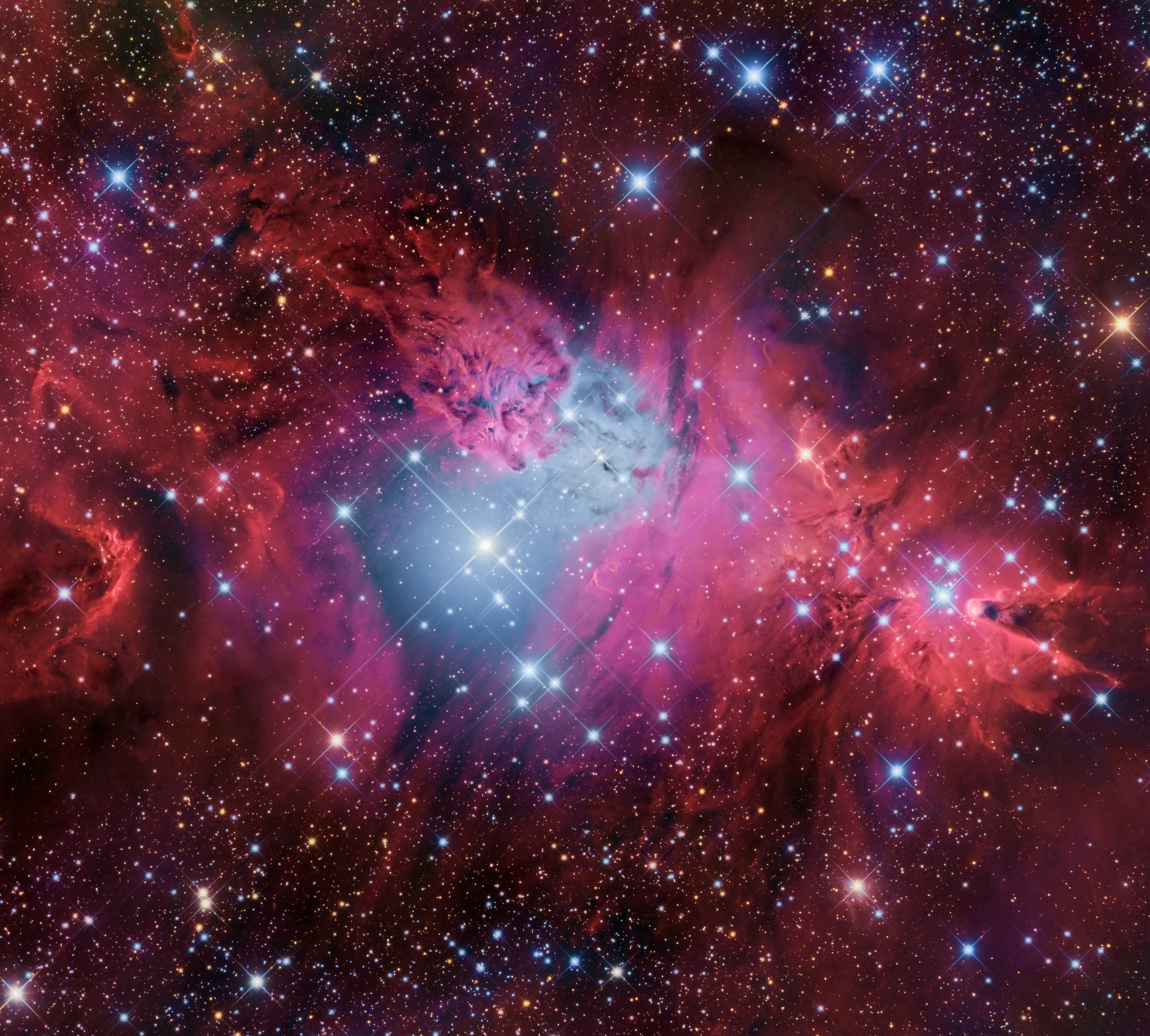 Clouds of glowing hydrogen gas fill this colorful skyscape in the faint but fanciful constellation Monoceros, the Unicorn. A star forming region cataloged as NGC 2264, the complex jumble of cosmic gas and dust is about 2,700 light-years distant and mixes reddish emission nebulae excited by energetic light from newborn stars with dark interstellar dust clouds. Where the otherwise obscuring dust clouds lie close to the hot, young stars they also reflect starlight, forming blue reflection nebulae. The telescopic image spans about 3/4 degree or nearly 1.5 full moons, covering 40 light-years at the distance of NGC 2264. Its cast of cosmic characters includes the the Fox Fur Nebula, whose dusty, convoluted pelt lies near the top, bright variable star S Monocerotis immersed in the blue-tinted haze near center, and the Cone Nebula pointing in from the right side of the frame. Of course, the stars of NGC 2264 are also known as the Christmas Tree star cluster. The triangular tree shape is seen on its side here. Traced by brighter stars it has its apex at the Cone Nebula. The tree's broader base is centered near S Monocerotis.