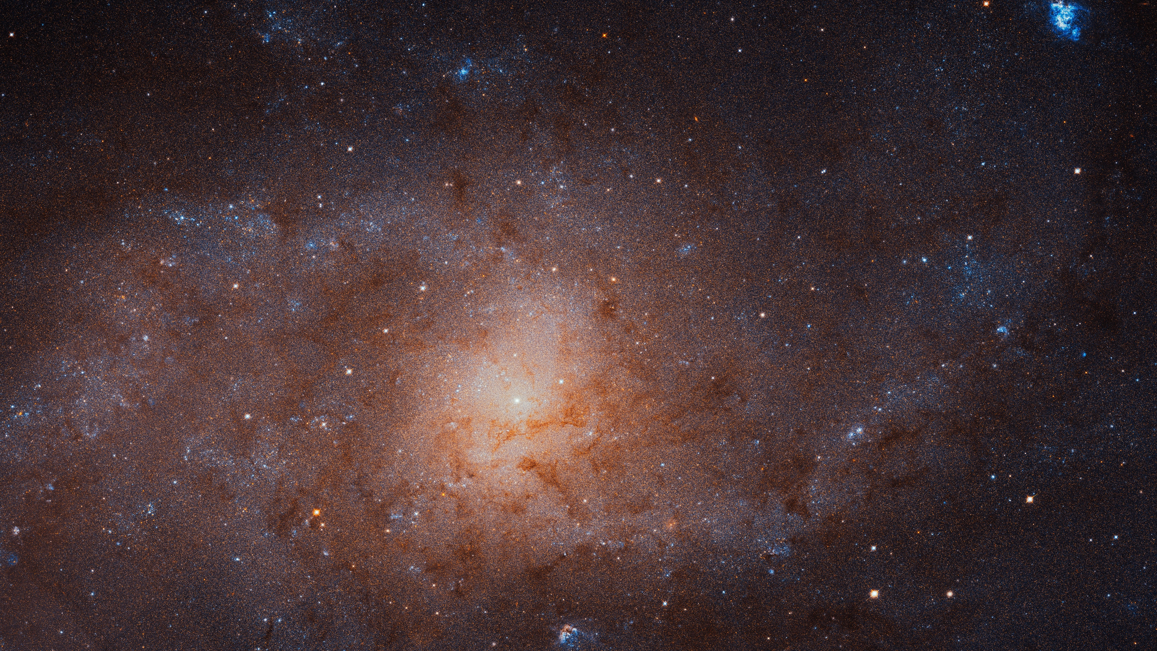Like grains of sand on a cosmic beach, stars of the Triangulum Galaxy are resolved in this sharp mosaic from the Hubble Space Telescope's Advanced Camera for Surveys (ACS). The inner region of the galaxy spanning over 17,000 light-years is covered at extreme resolution, the second largest image ever released by Hubble. At its center is the bright, densely packed galactic core surrounded by a loose array of dark dust lanes mixed with the stars in the galactic plane. Also known as M33, the face-on spiral galaxy lies 3 million light-years away in the small northern constellation Triangulum. Over 50,000 light-years in diameter, the Triangulum Galaxy is the third largest in the Local Group of galaxies after the Andromeda Galaxy (M31), and our own Milky Way. Of course, to fully appreciate the Triangulum's stars, star clusters, and bright nebulae captured in this Hubble mosaic, you'll need to use a zoom tool.