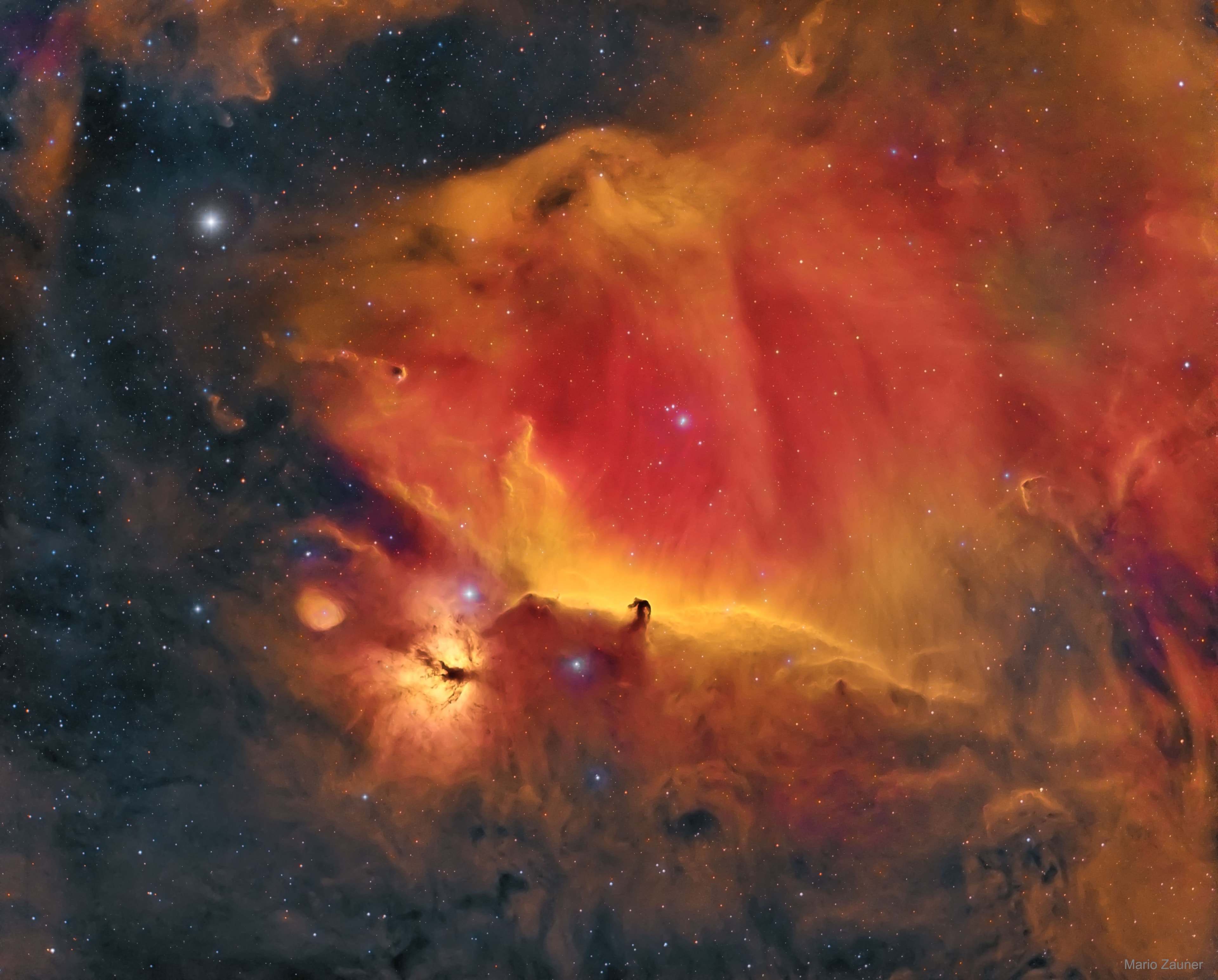 The famous Horsehead Nebula in Orion is not alone.  A deep exposure shows that the dark familiar shaped indentation, visible just below center, is part of a vast complex of absorbing dust and glowing gas.  To bring out details of the  Horsehead's pasture, an amateur astronomer used a backyard telescope in Austria to accumulate and artistically combine 7.5 hours of images in the light of Hydrogen (red), Oxygen (green), and Sulfur (blue). The resulting spectacular picture details an intricate tapestry of gaseous wisps and dust-laden filaments that were created and sculpted over eons by stellar winds and ancient supernovas.  The Flame Nebula is visible just to the left of the Horsehead, while the bright star on the upper left is Alnilam, the central star in Orion's Belt. The Horsehead Nebula lies 1,500 light years distant towards the constellation of Orion.    Bounce around the Universe: Random APOD Generator