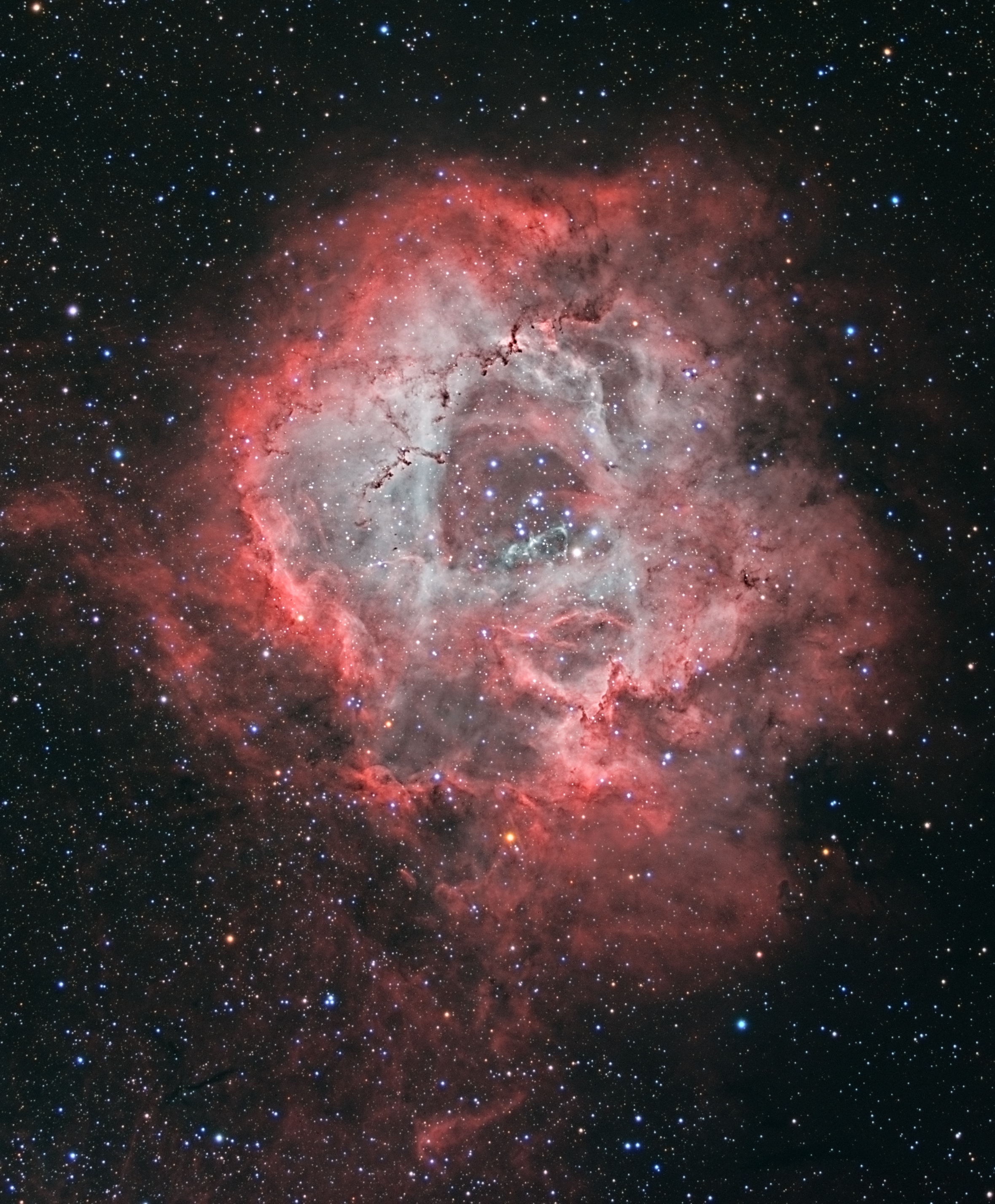 The Rosette Nebula, NGC 2237, is not the only cosmic cloud of gas and dust to evoke the imagery of flowers, but it is the most famous.  At the edge of a large molecular cloud in Monoceros some 5,000 light years away, the petals of this cosmic rose are actually a stellar nursery. The lovely, symmetric shape is sculpted by the winds and radiation from its central cluster of hot young, O-type stars. Stars in the energetic cluster, cataloged as NGC 2244, are only a few million years young, while the central cavity in the Rosette Nebula, is about 50 light-years in diameter. The nebula can be seen with a small telescope toward the constellation of Monoceros, the Unicorn. This natural appearing telescopic portrait of the Rosette Nebula was made using broadband and narrowband filters, because sometimes roses aren't red.