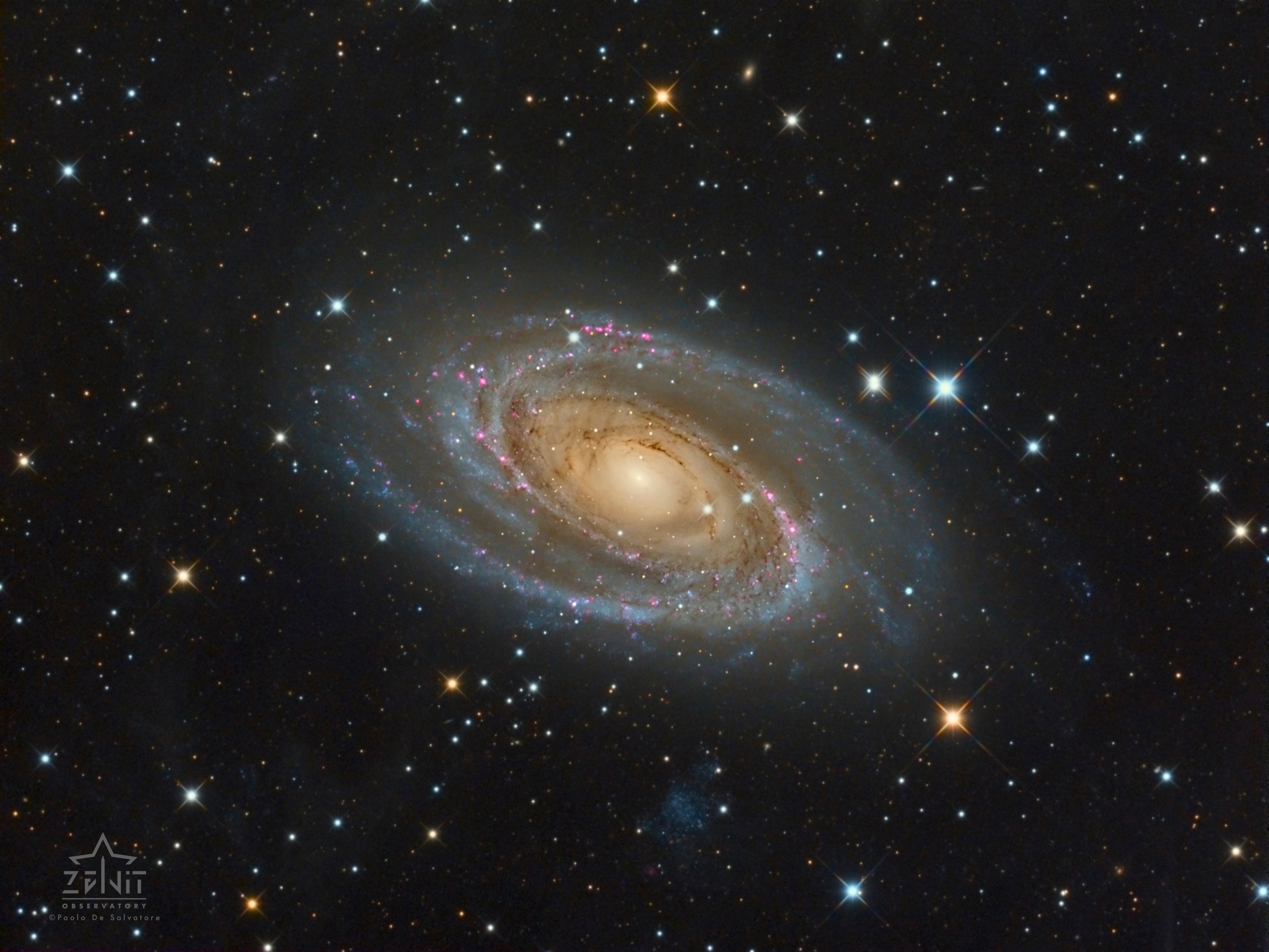 One of the brightest galaxies in planet Earth's sky is similar in size to our Milky Way Galaxy: big, beautiful Messier 81. Also known as NGC 3031 or Bode's galaxy for its 18th century discoverer, this grand spiral can be found toward the northern constellation of Ursa Major, the Great Bear. The detailed telescopic view reveals M81's bright yellow nucleus, blue spiral arms, pink starforming regions, and sweeping cosmic dust lanes. Some dust lanes actually run through the galactic disk (left of center), contrary to other prominent spiral features though. The errant dust lanes may be the lingering result of a close encounter between M81 and its smaller companion galaxy, M82. Scrutiny of variable stars in M81 has yielded one of the best determined distances for an external galaxy -- 11.8 million light-years.