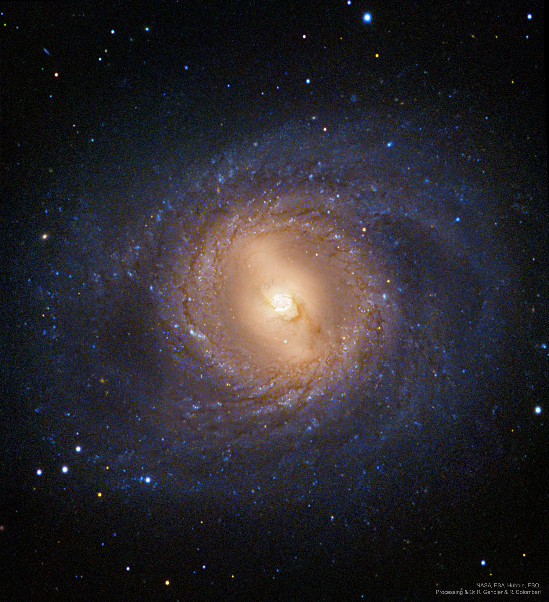 Why do some spiral galaxies have a ring around the center? First and foremost, M95 is one of the closer examples of a big and beautiful barred spiral galaxy. Visible in the featured combination of images from Hubble and several ground based telescopes are sprawling spiral arms delineated by open clusters of bright blue stars, lanes of dark dust, the diffuse glow of billions of faint stars, and a short bar across the galaxy center. What intrigues many astronomers, however, is the circumnuclear ring around the galaxy center visible just outside the central bar. Although the long term stability of this ring remains a topic of research, observations indicate its present brightness is at least enhanced by transient bursts of star formation. M95, also known as NGC 3351, spans about 50,000 light-years, lies about 30 million light years away, and can be seen with a small telescope toward the constellation of the Lion (Leo). Almost Hyperspace: Random APOD Generator