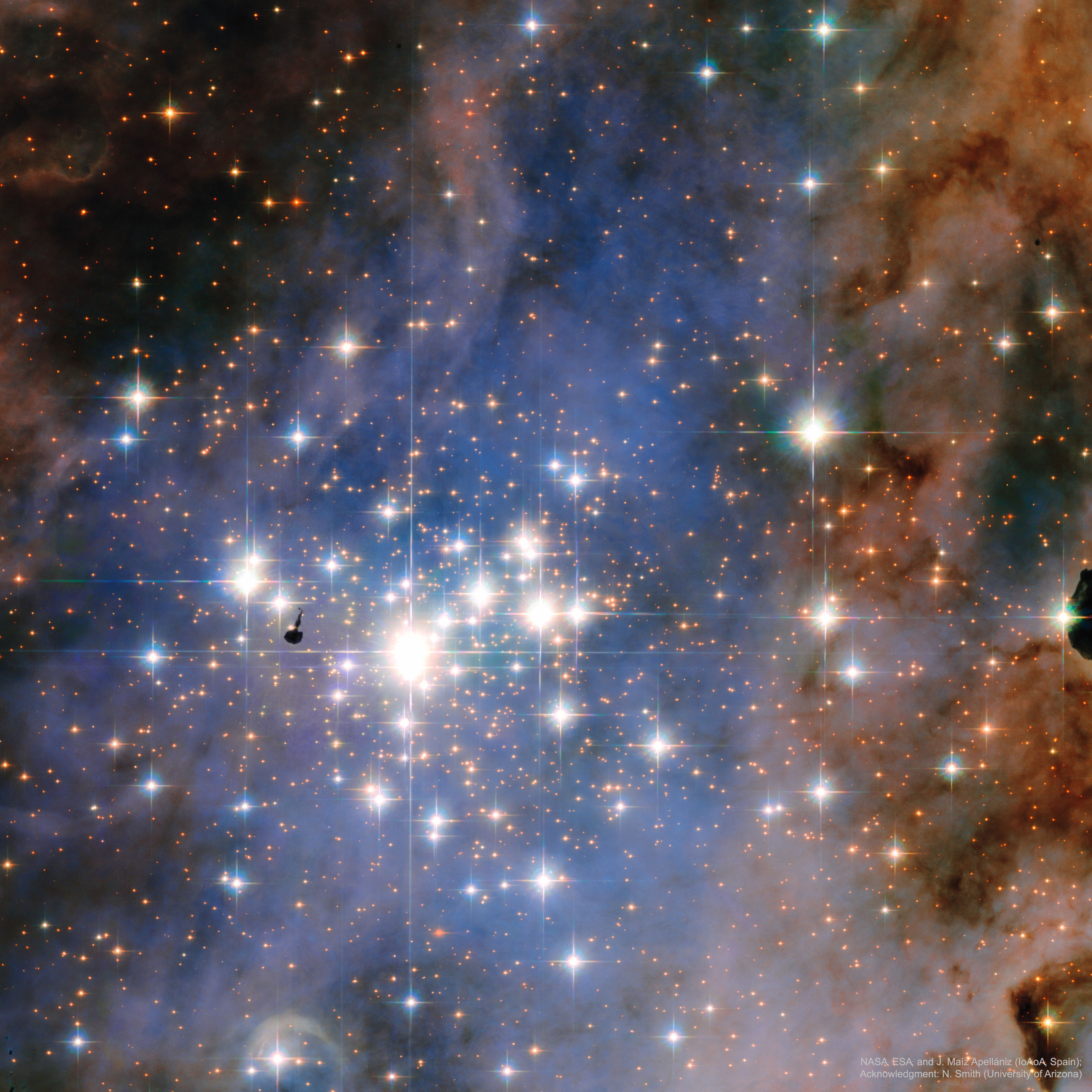 Why does star cluster Trumpler 14 have so many bright stars? Because it is so young. Many cluster stars have formed only in the past 5 million years and are so hot they emit detectable X-rays.  In older star clusters, most stars this young have already died -- typically exploding in a supernova -- leaving behind stars that are fainter and redder. Trumpler 14 spans about 40 light years and lies about 9,000 light years away on the edge of the famous Carina Nebula. A discerning eye can spot two unusual objects in this detailed 2006 image of Trumpler 14 by the Hubble Space Telescope. First, a dark cloud just left of center may be a planetary system trying to form before being destroyed by the energetic winds of Trumpler 14's massive stars. Second is the arc at the bottom left, which one hypothesis holds is the supersonic shock wave of a fast star ejected 100,000 years ago from a completely different star cluster.