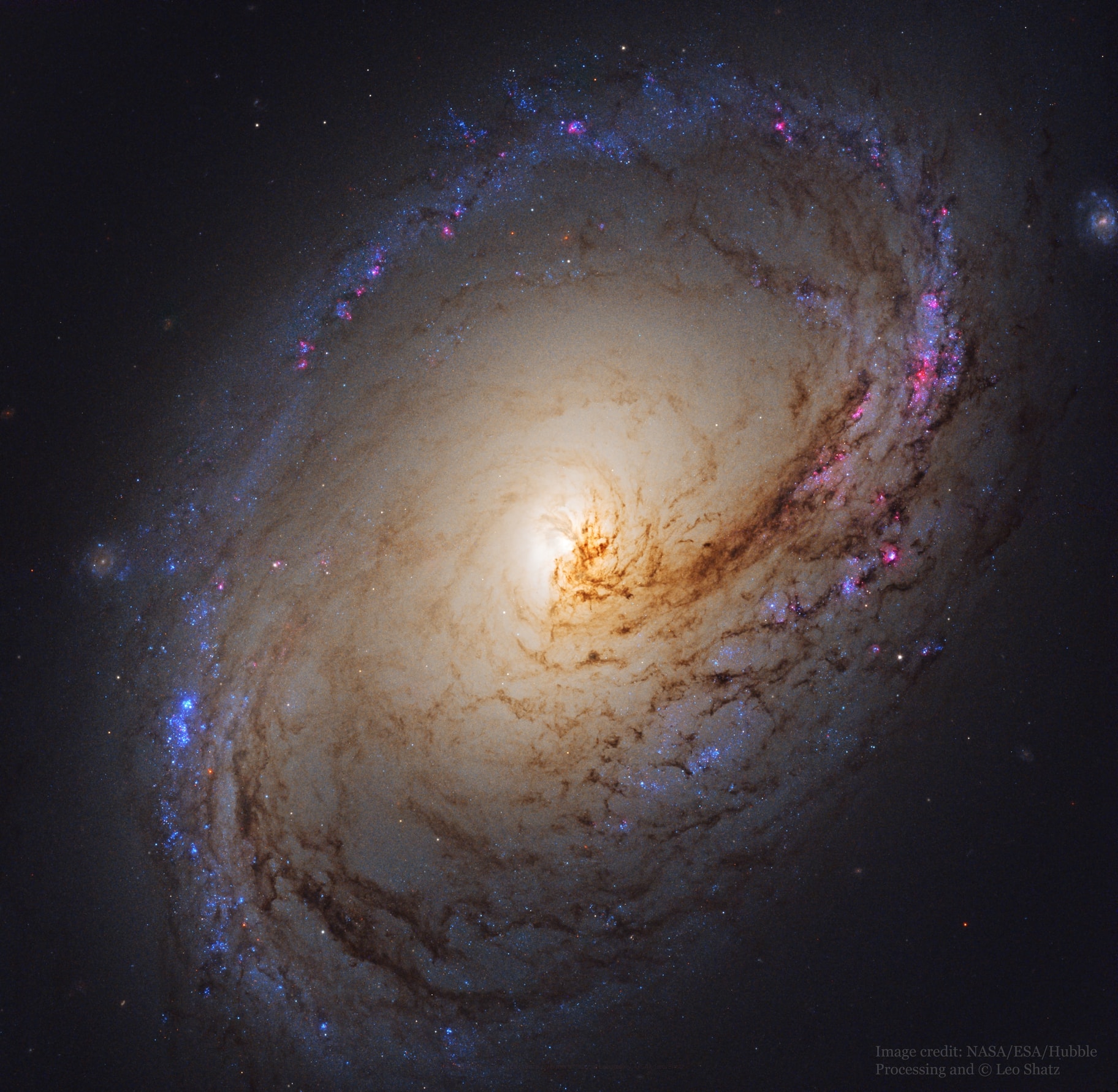 Dust lanes seem to swirl around the core of Messier 96 in this colorful, detailed portrait of the center of a beautiful island universe. Of course M96 is a spiral galaxy, and counting the faint arms extending beyond the brighter central region, it spans 100 thousand light-years or so, making it about the size of our own Milky Way. M96, also known as NGC 3368, is known to be about 35 million light-years distant and a dominant member of the Leo I galaxy group. The featured image was taken by the Hubble Space Telescope.  The reason for M96's asymmetry is unclear -- it could have arisen from gravitational interactions with other Leo I group galaxies, but the lack of an intra-group diffuse glow seems to indicate few recent interactions. Galaxies far in the background can be found by examining the edges of the picture.    APOD in other languages: Arabic, Catalan, Chinese (Beijing), Chinese (Taiwan), Croatian, Czech, Dutch, Farsi, French, French, German, Hebrew, Indonesian, Japanese, Korean, Montenegrin, Polish, Russian, Serbian, Slovenian,  Spanish and Ukrainian
