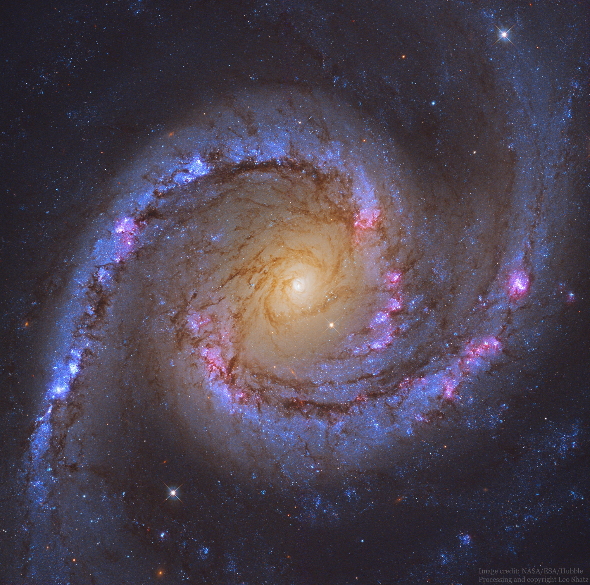 If not perfect, then this spiral galaxy is at least one of the most photogenic. An island universe containing billions of stars and situated about 40 million light-years away toward the constellation of the Dolphinfish (Dorado), NGC 1566 presents a gorgeous face-on view. Classified as a grand design spiral, NGC 1566's shows two prominent and graceful spiral arms that are traced by bright blue star clusters and dark cosmic dust lanes. Numerous Hubble Space Telescope images of NGC 1566 have been taken to study star formation, supernovas, and the spiral's unusually active center. Some of these images, stored online in the Hubble Legacy Archive, were freely downloaded, combined, and digitally processed by an industrious amateur to create the featured image. NGC 1566's flaring center makes the spiral one of the closest and brightest Seyfert galaxies, likely housing a central supermassive black hole wreaking havoc on surrounding stars and gas.   Today: Total solar eclipse visible in parts of South America