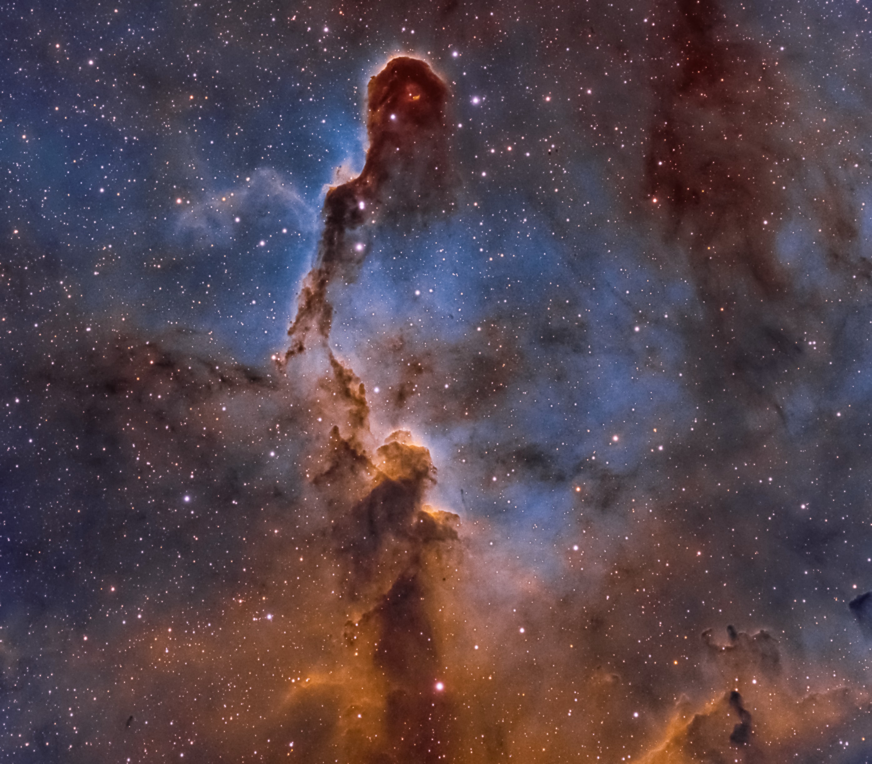 Like an illustration in a galactic Just So Story, the Elephant's Trunk Nebula winds through the emission nebula and young star cluster complex IC 1396, in the high and far off constellation of Cepheus. Also known as vdB 142, the cosmic elephant's trunk is over 20 light-years long. This colorful close-up view was recorded through narrow band filters that transmit the light from ionized hydrogen, sulfur, and oxygen atoms in the region.  The resulting composite highlights the bright swept-back ridges that outline pockets of cool interstellar dust and gas. Such embedded, dark, tendril-shaped clouds contain the raw material for star formation and hide protostars within. Nearly 3,000 light-years distant, the relatively faint IC 1396 complex covers a large region on the sky, spanning over 5 degrees. The dramatic scene spans a 1 degree wide field, about the size of 2 Full Moons.