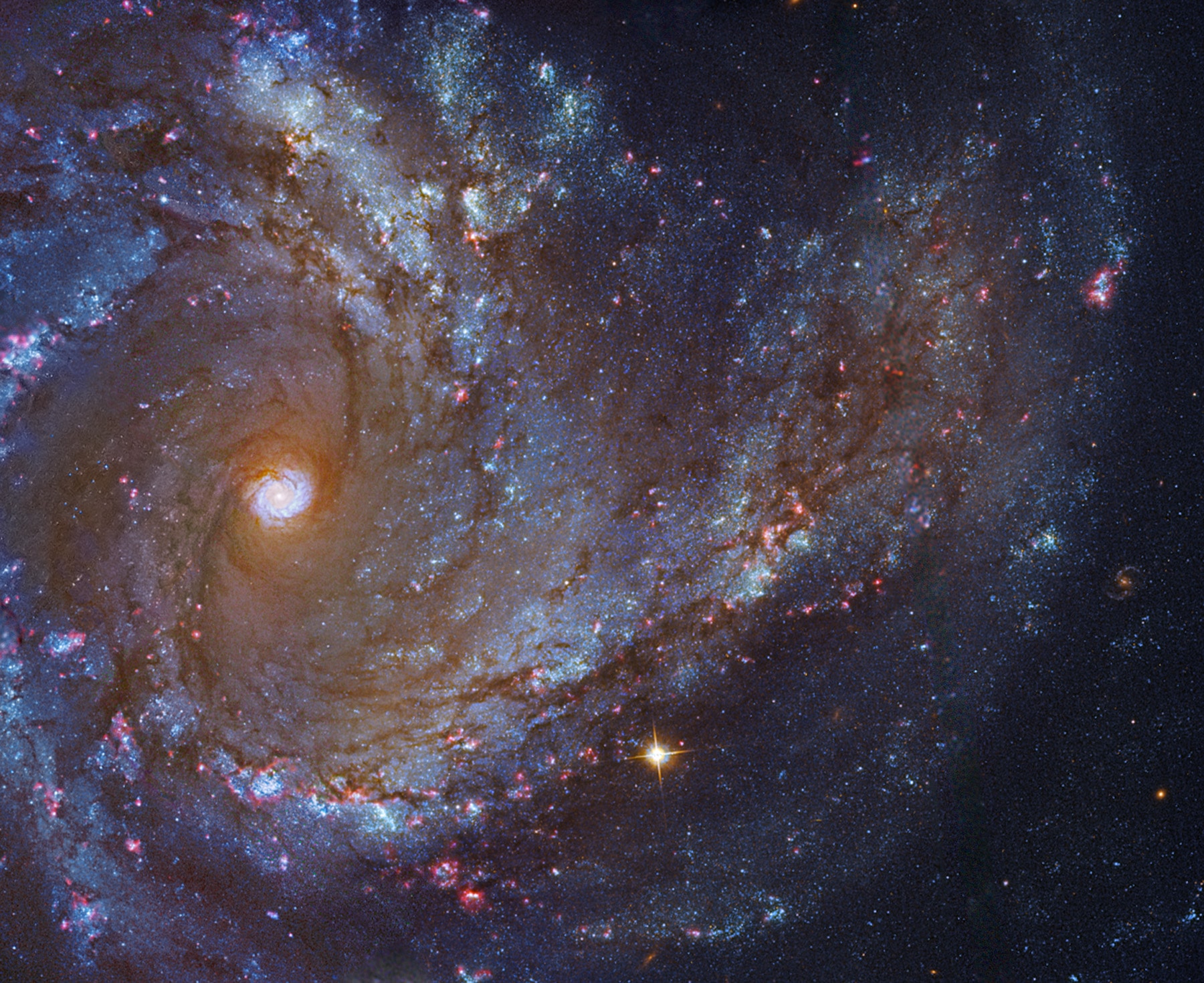 Image data from the Hubble Space Telescope, the European Southern Observatory, and small telescopes on planet Earth are combined in this magnificent portrait of face-on spiral galaxy Messier 61 (M61). A mere 55 million light-years away in the Virgo Cluster of Galaxies, M61 is also known as NGC 4303. It's considered to be an example of a barred spiral galaxy similar to our own Milky Way. Like other spiral galaxies, M61 also features sweeping spiral arms, cosmic dust lanes, pinkish star forming regions, and young blue star clusters. The bright galactic core is offset to the left in this 50 thousand light-year wide close-up.