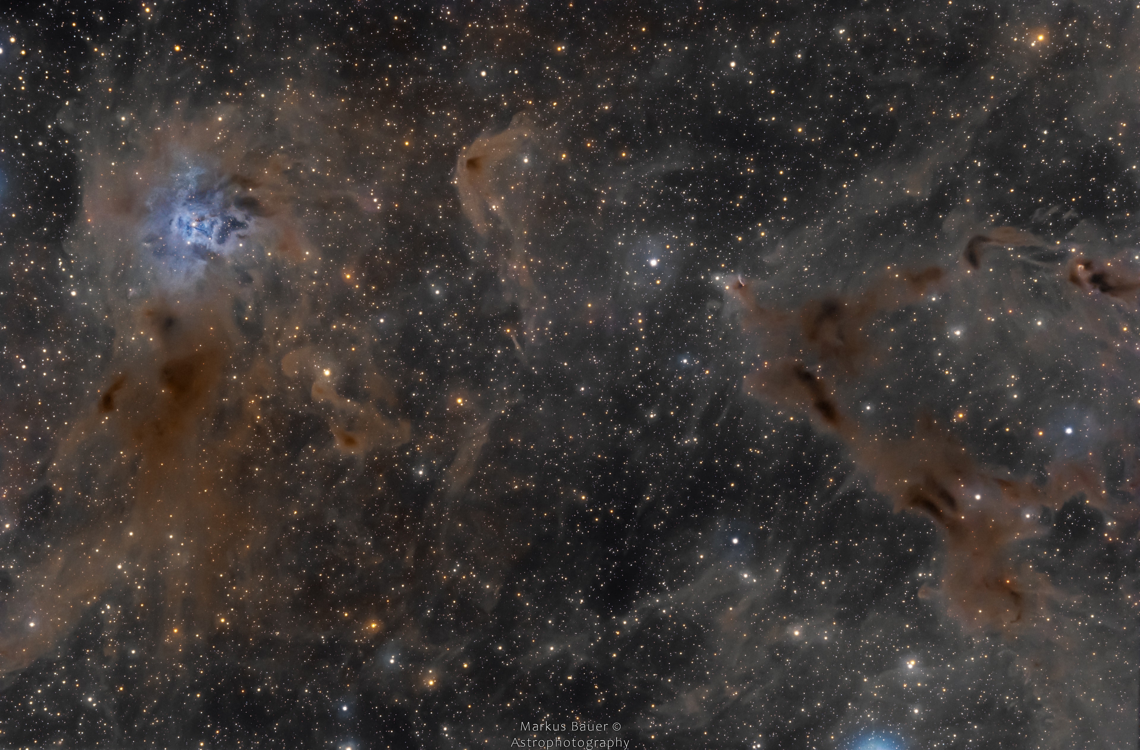 These cosmic dust clouds drift some 1,300 light-years away along the fertile starfields of the constellation Cepheus. The beautiful Iris Nebula, also known as NGC 7023, blossoms at the upper left. Not the only nebula in the sky to evoke the imagery of flowers, its pretty, symmetric form spans about 6 light-years. This nebula's dominant blue color is characteristic of the pervasive dust grains reflecting light from a nearby hot, bluish star. But darker, obscuring dust clouds cover most of the nearly 4 degree wide field of view. At the right is the LDN 1147/1158 complex of Lynds Dark Nebulae. Stars are forming there, still hidden within the dark cloud cores. A search through the sharp image can identify Herbig-Haro objects though, jets of shocked glowing gas emanating from recently formed stars.